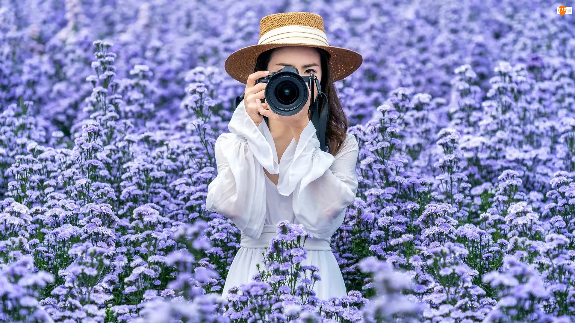 Łąka, Dziewczyna, Kapelusz, Niebieskie, Azjatka, Sukienka, Kwiaty, Aparat fotograficzny