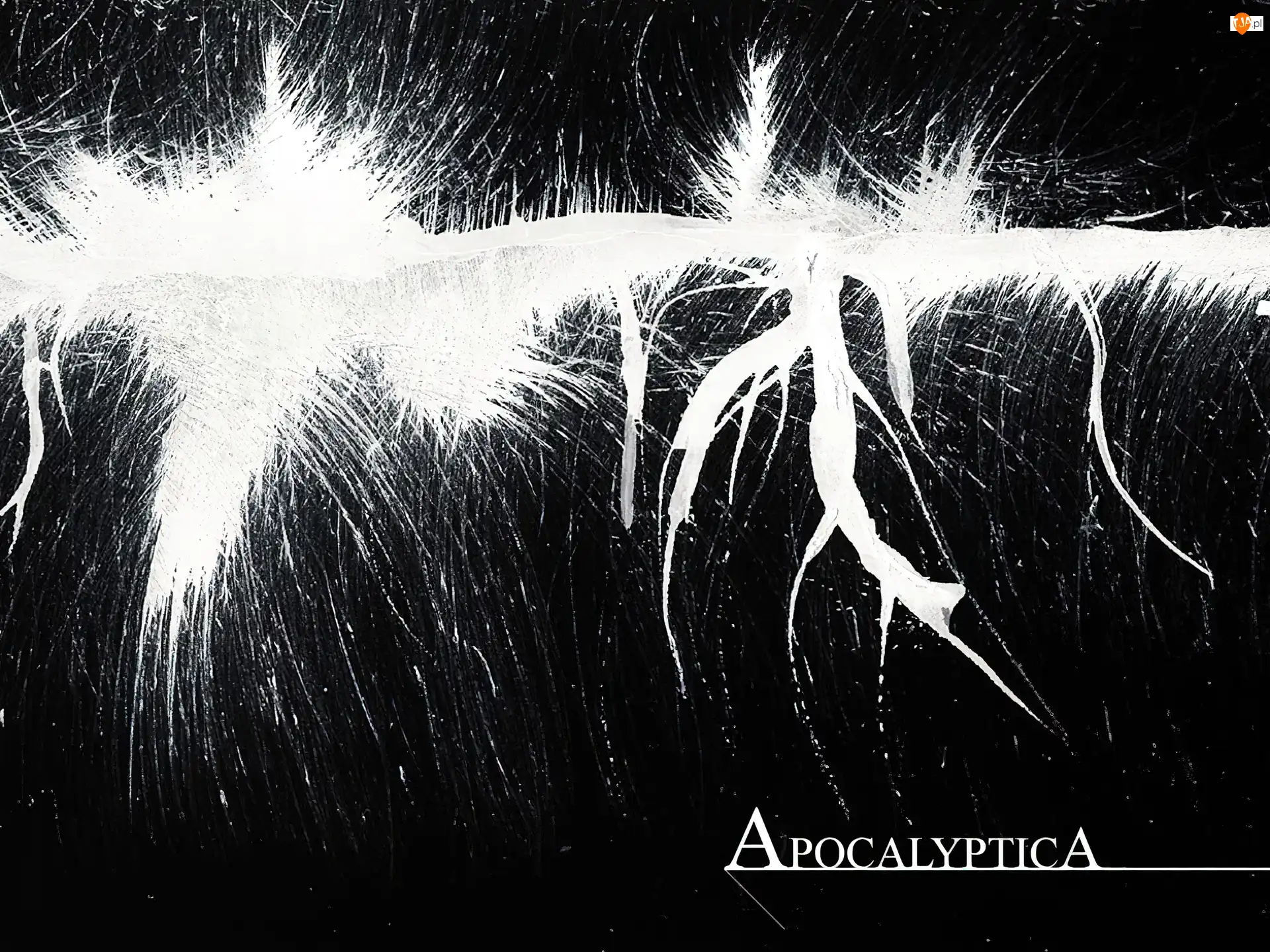 nazwa zespołu, Apocalyptica