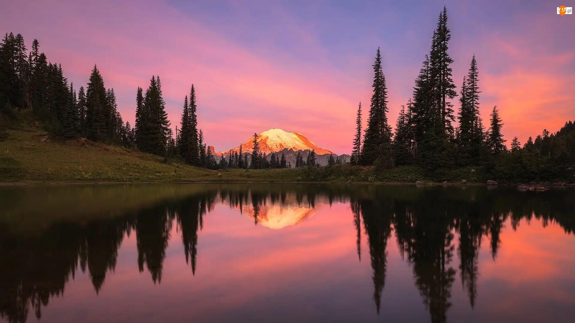 Wschód słońca, Jezioro, Stratowulkan Mount Rainier, Stan Waszyngton, Tipsoo Lake, Drzewa, Stany Zjednoczone, Park Narodowy Mount Rainier
