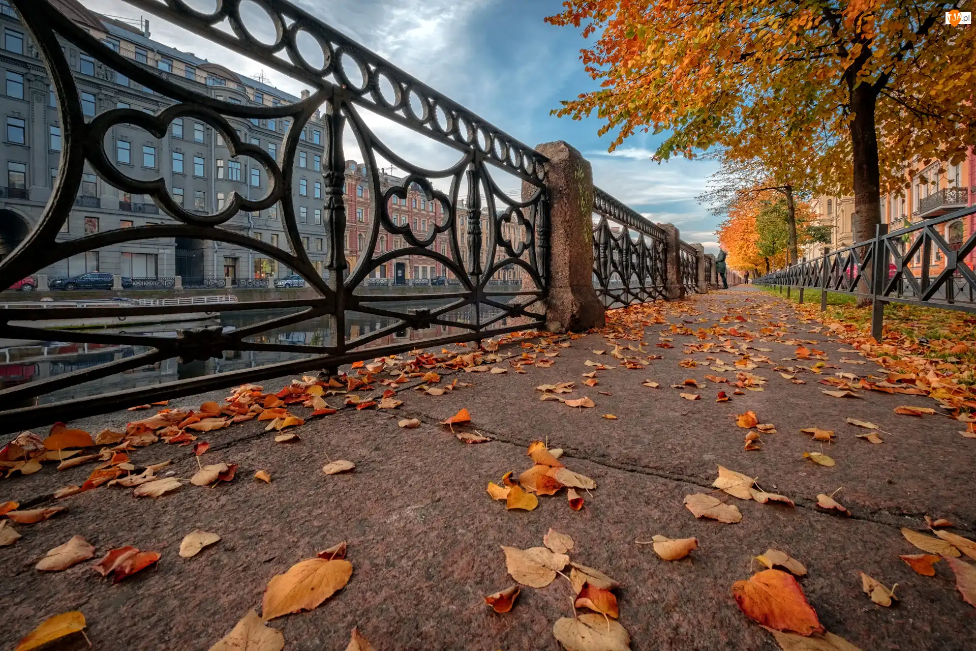 Rosja, Drzewa, Opadłe, Ulica, Sankt Petersburg, Miasto, Domy, Jesień, Balustrada, Liście