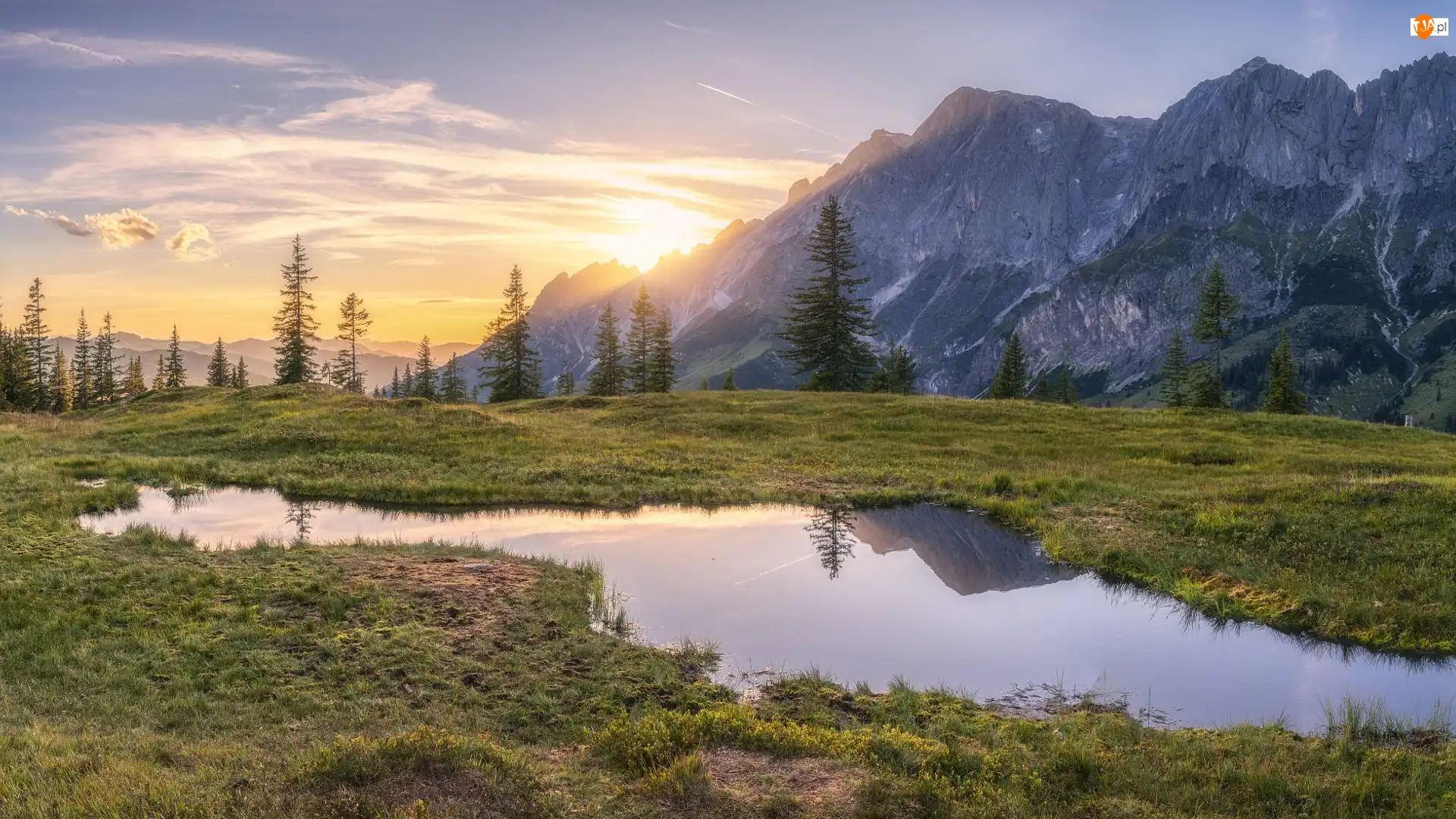 Alpy, Góry, Drzewa, Austria, Kałuża, Wschód słońca