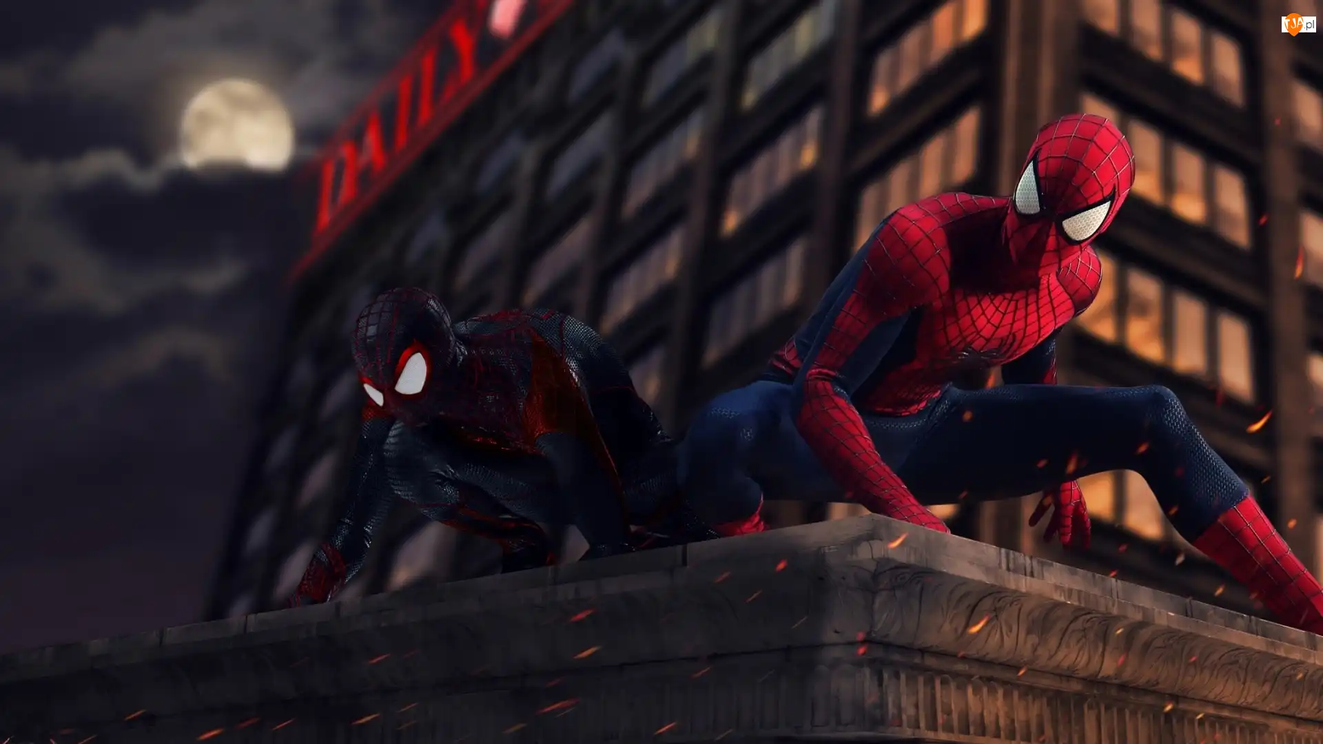 Dom, Film, Spider-Man, Dach