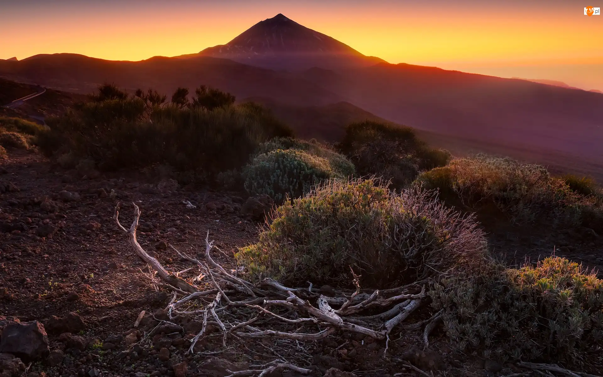 Teneryfa, Góra, Zachód słońca, Hiszpania, Konary, Teide, Wulkan