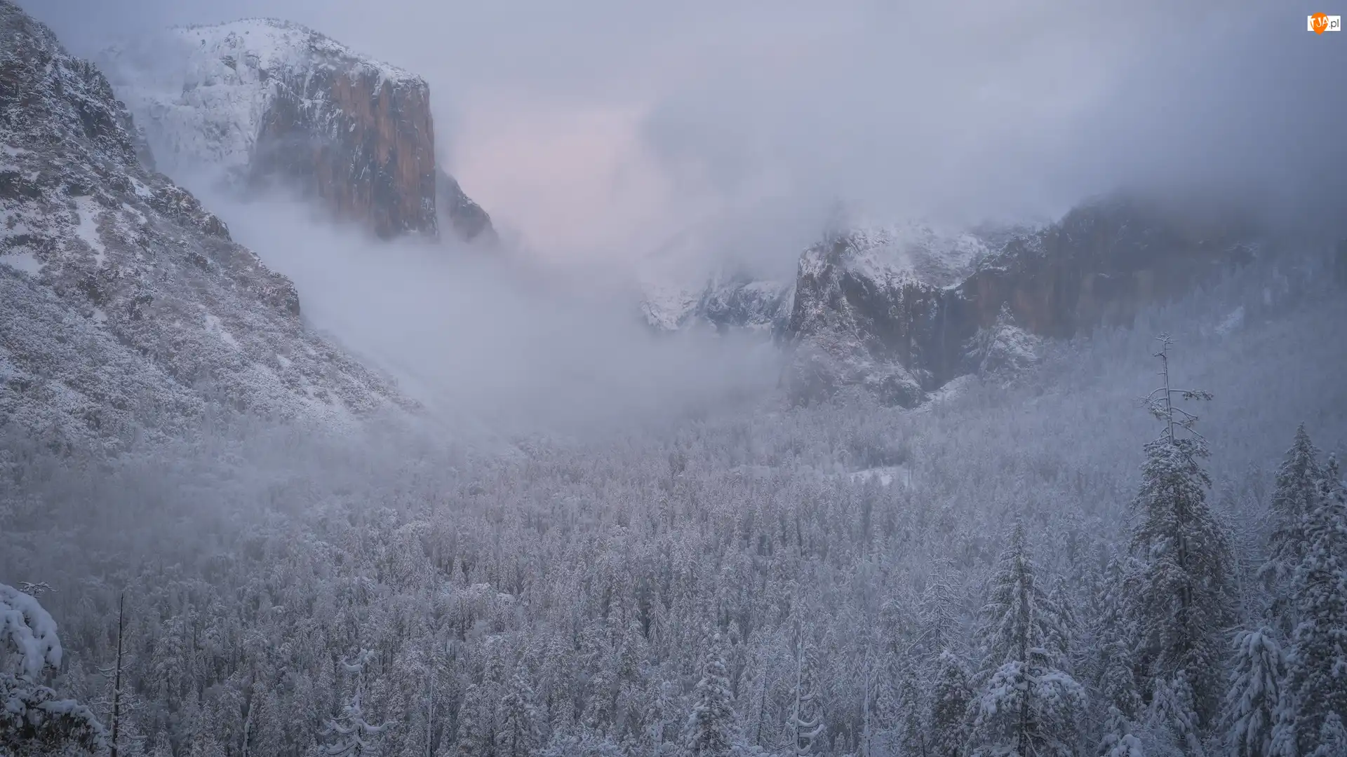 Park Narodowy Yosemite, Kalifornia, Mgła, Ośnieżone, Drzewa, Zima, Góry, Stany Zjednoczone, Sierra Nevada