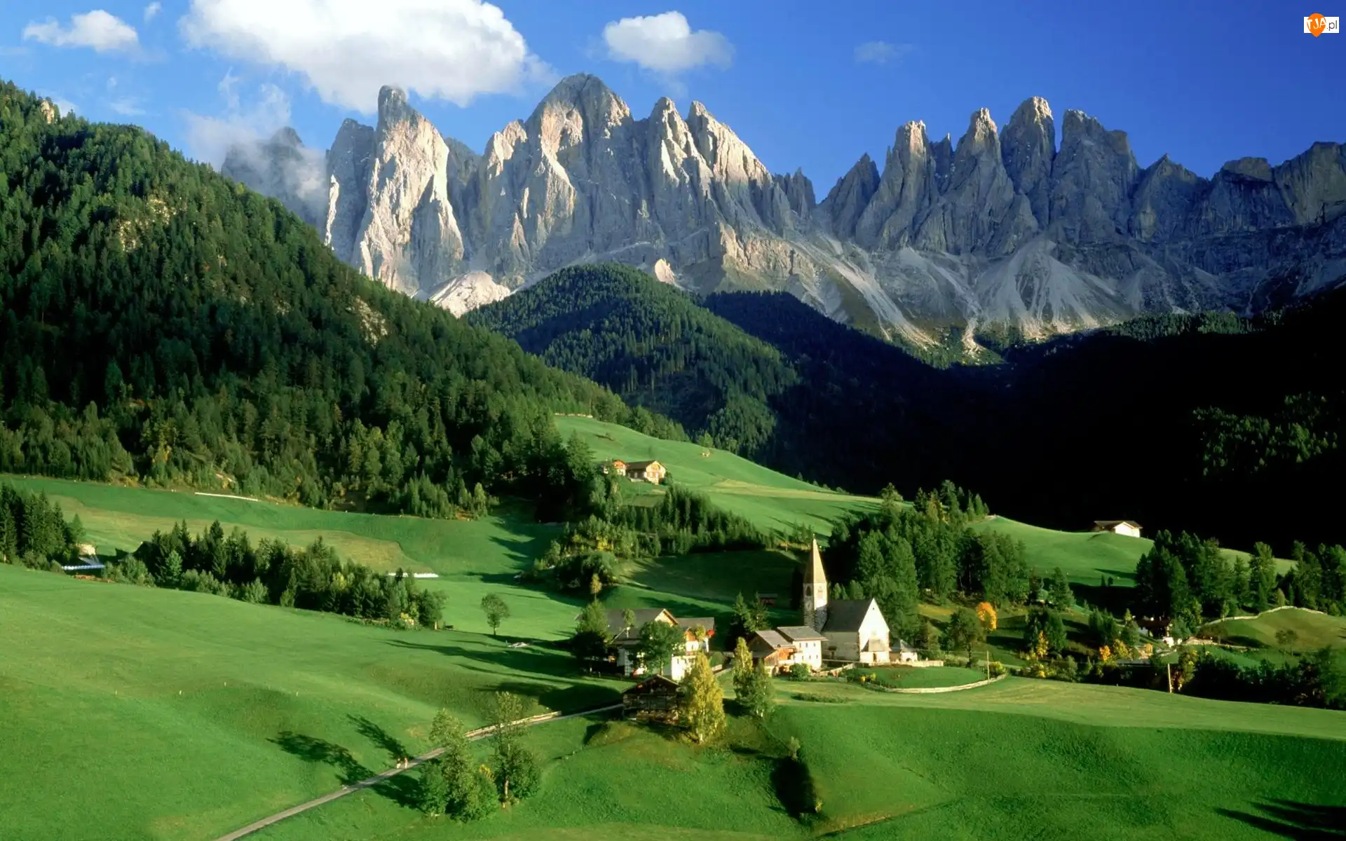 Drzewa, Dolomity, Lasy, Masyw Odle, Kościół, Dolina Val di Funes, Wieś Santa Maddalena, Włochy, Góry