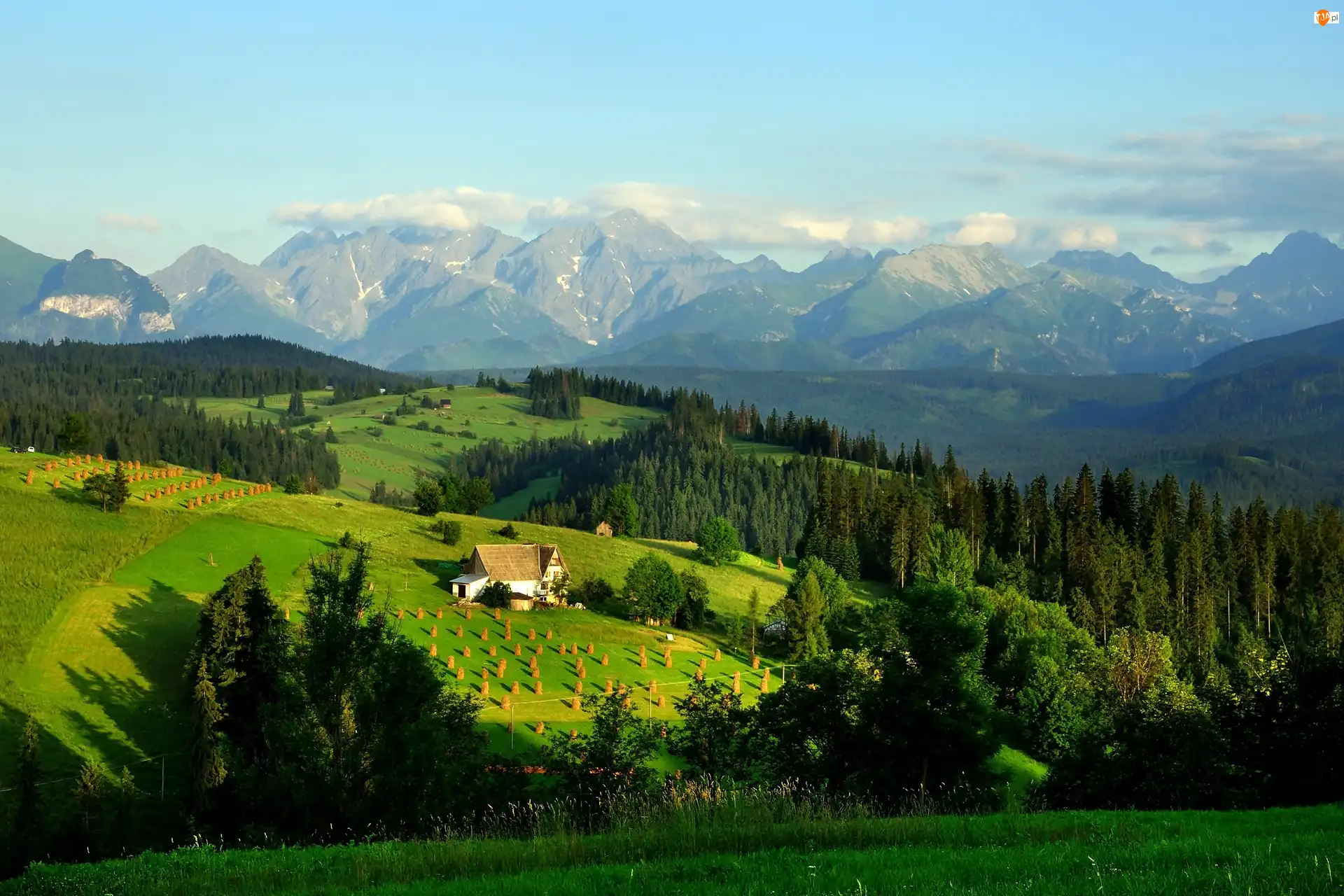 Lasy, Łąki, Polska, Góry, Tatry, Domy, Pola