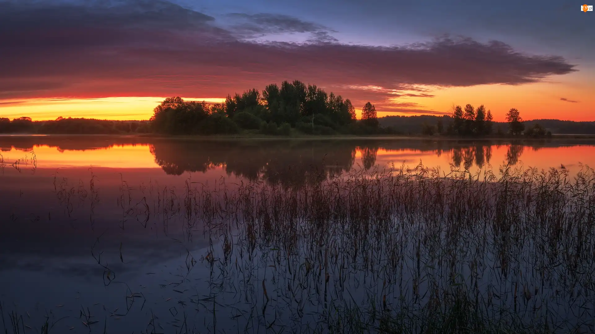 Trawa, Zachód słońca, Drzewa, Jezioro