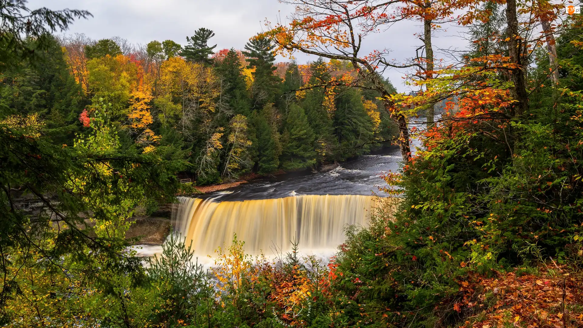 Stany Zjednoczone, Jesień, Miejscowość Paradise, Rzeka Tahquamenon, Tahquamenon Falls, Wodospad, Las, Root Beer Falls, Drzewa, Stan Michigan
