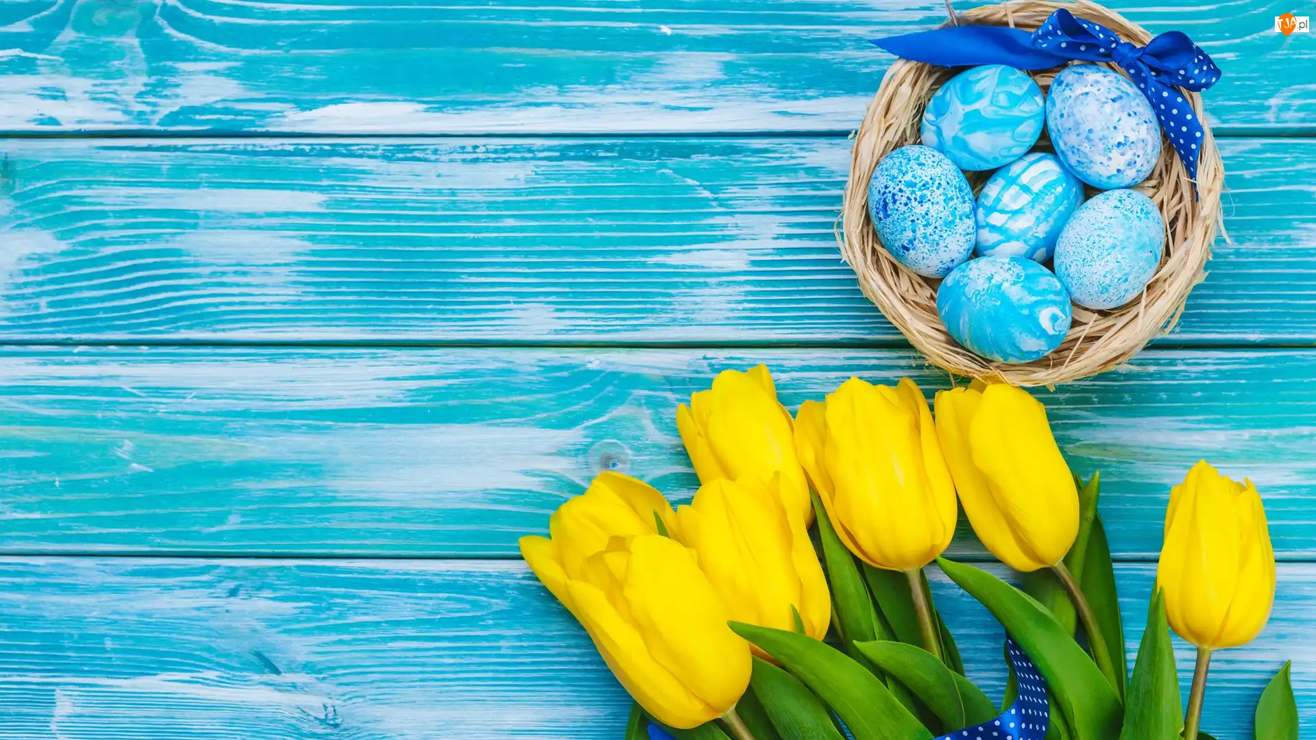 Tulipany, Pisanki, Wielkanoc, Żółte, Deski, Niebieskie, Gniazdo
