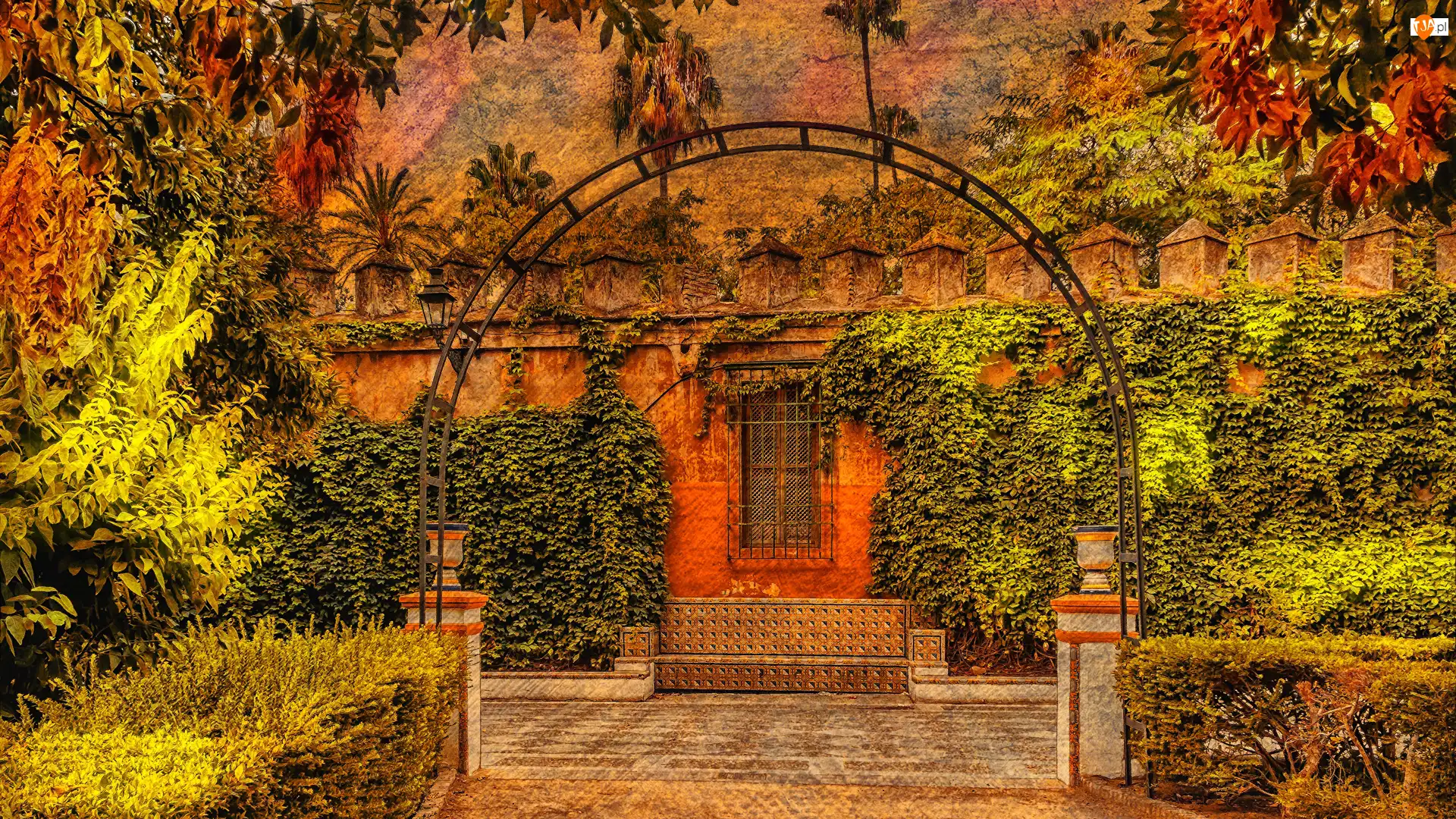 Pergola, Dom, Rośliny