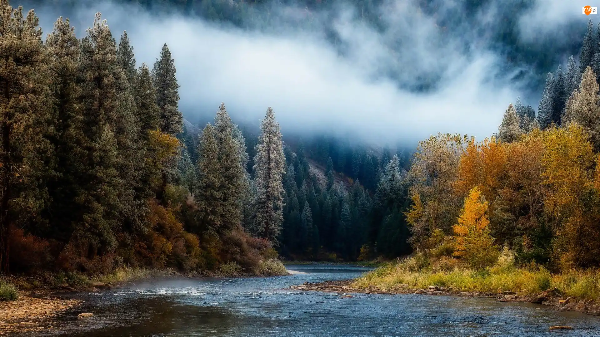Drzewa, Rzeka, Stany Zjednoczone Jesień, Jesień, Stan Idaho, Mgła, Payette River