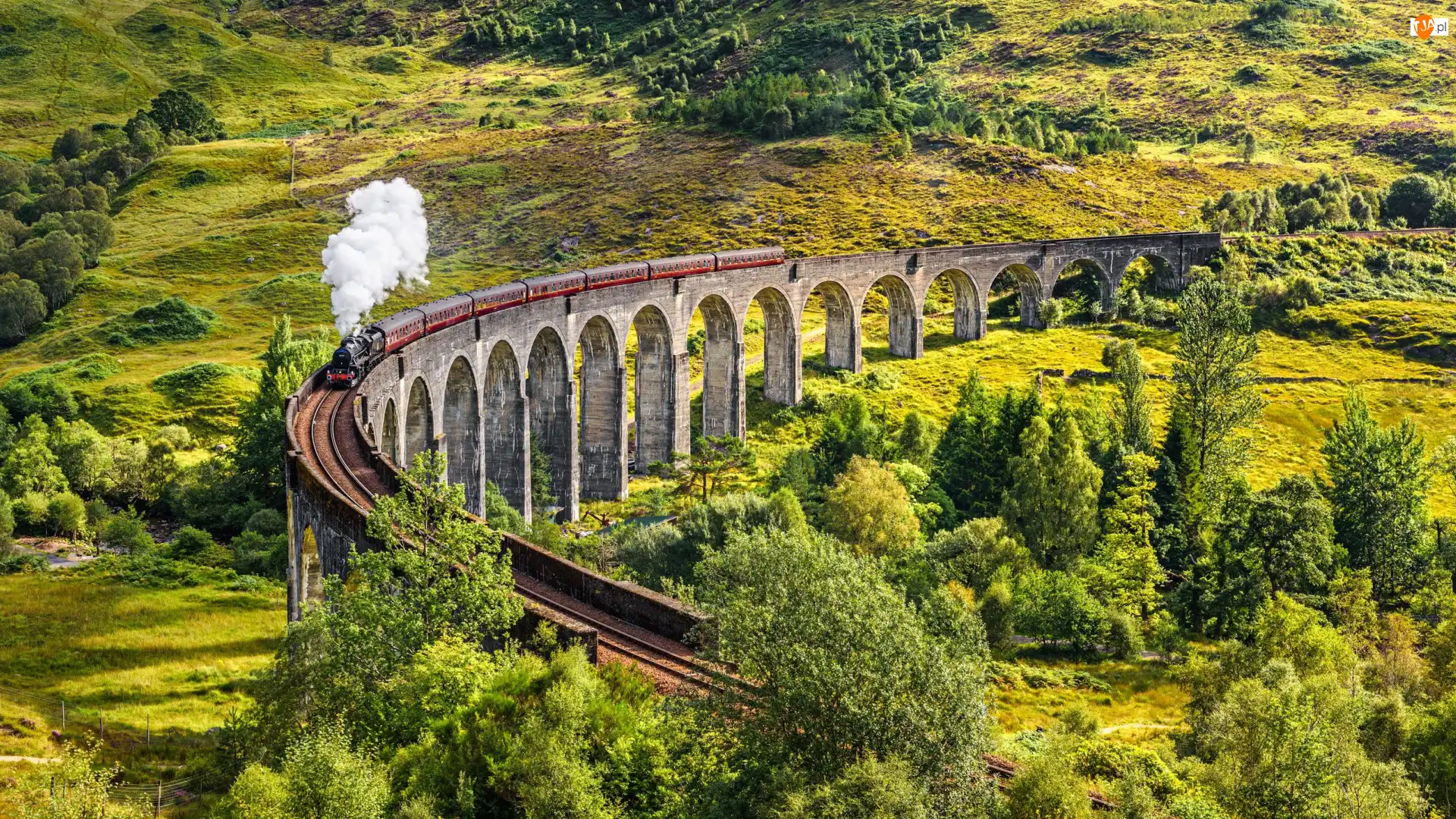 Miejscowość Glenfinnan, Szkocja, Wiadukt Glenfinnan, Roślinność, Dolina, Pociąg