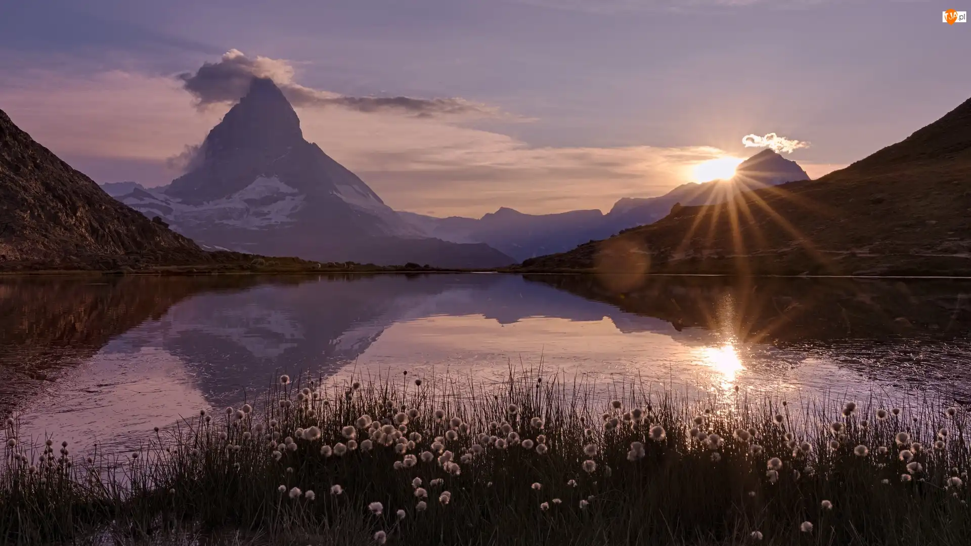 Szwajcaria, Promienie słońca, Rośliny, Riffelsee, Alpy Pennińskie, Góry, Matterhorn, Góra, Jezioro, Kanton Valais