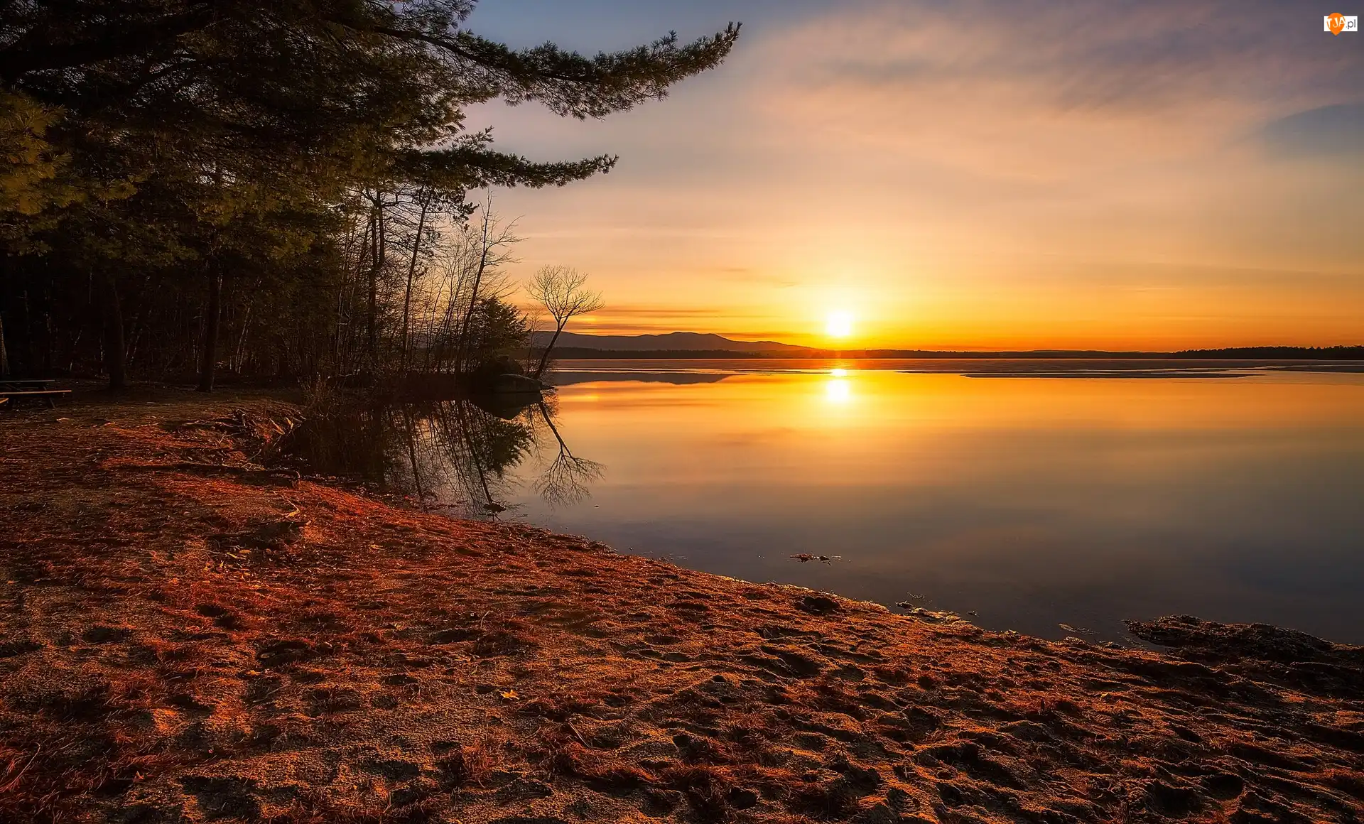 Stan New Hampshire, Stany Zjednoczone, Plaża Leavitt Beach, Drzewa, Jezioro Lake Winnipesaukee, Wschód słońca
