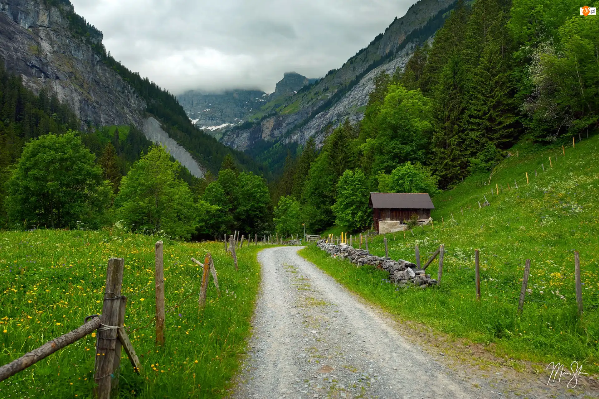 Szwajcaria, Alpy Berneńskie, Gimmelwald, Drzewa, Ogrodzenie, Mgła, Droga, Góry, Domek