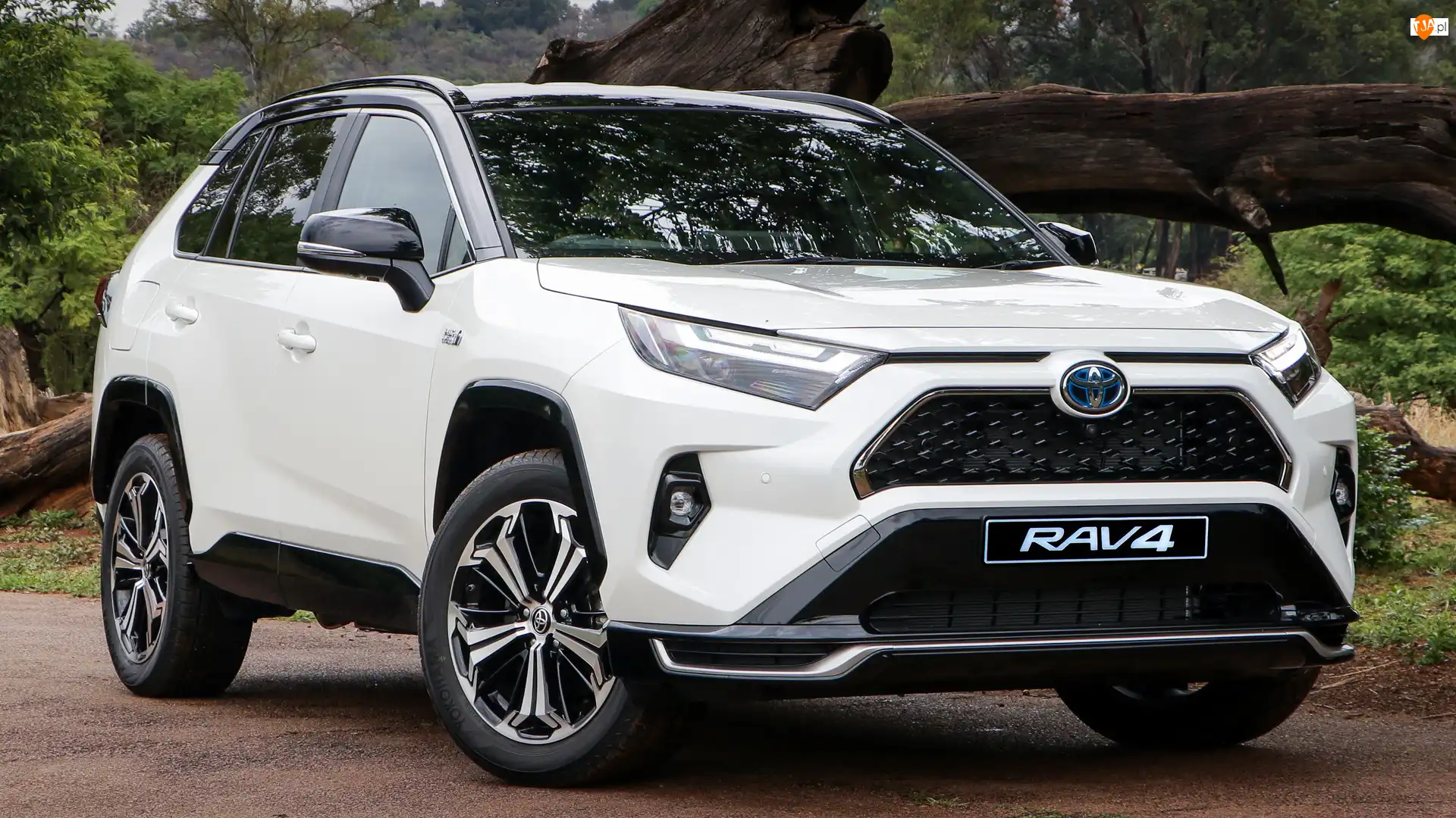 Toyota RAV4 Plug-in Hybrid