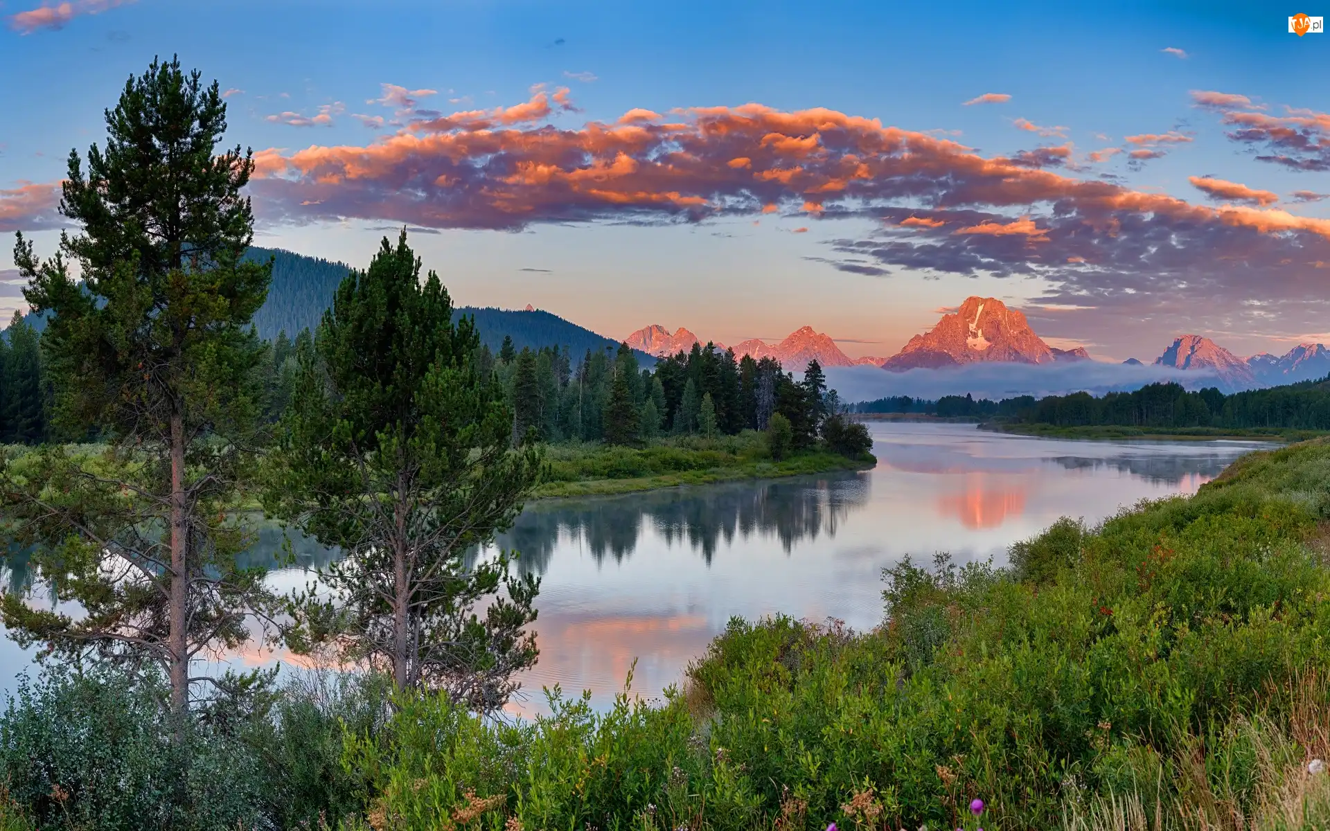 Stan Wyoming, Park Narodowy Grand Teton, Drzewa, Stany Zjednoczone, Las, Góry Skaliste, Rzeka Snake River