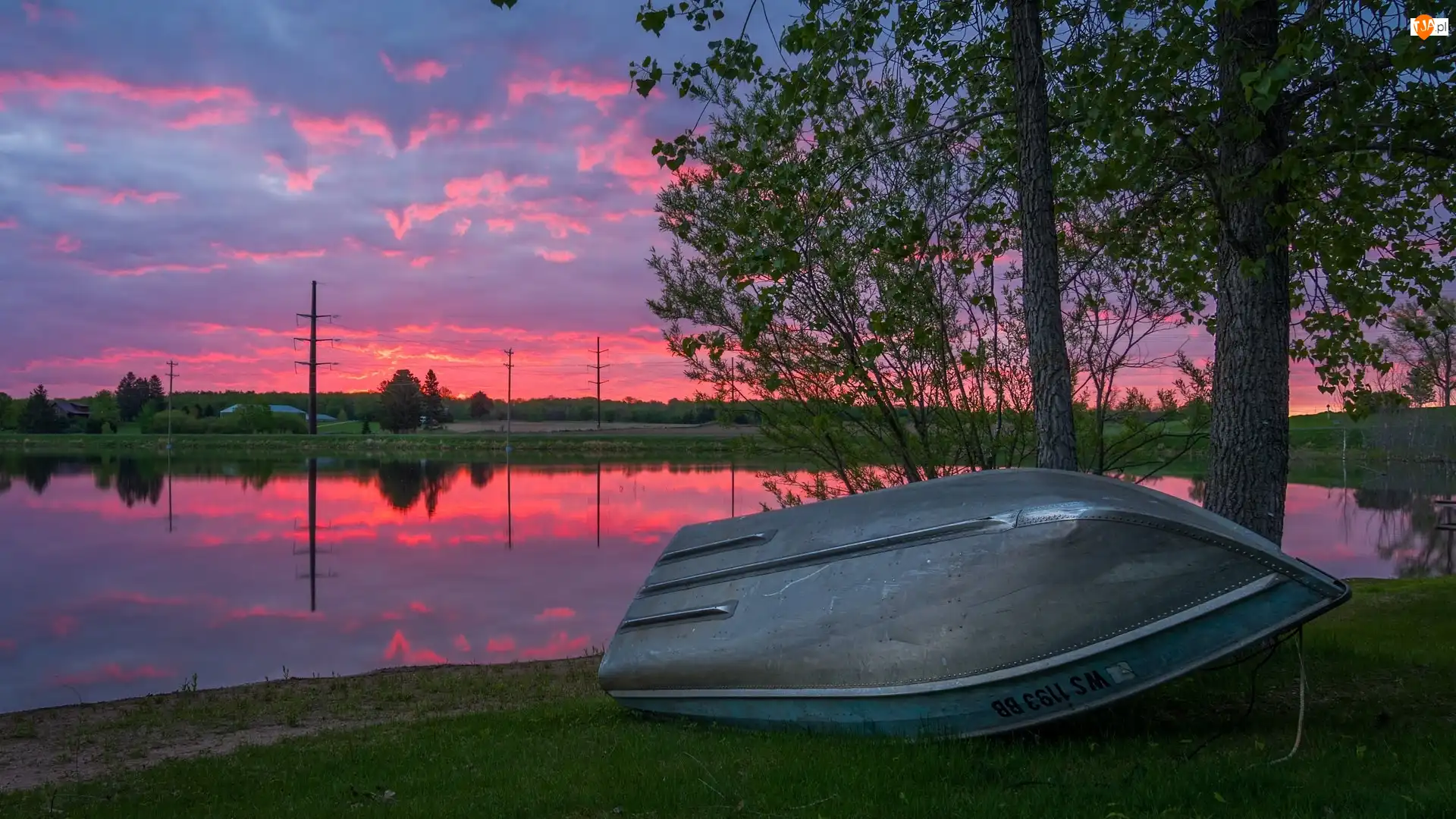 Stany Zjednoczone, Drzewa, Trawa, Łódka, Różowe, Zachód słońca, Jezioro, Niebo, Sand Lake, Wisconsin