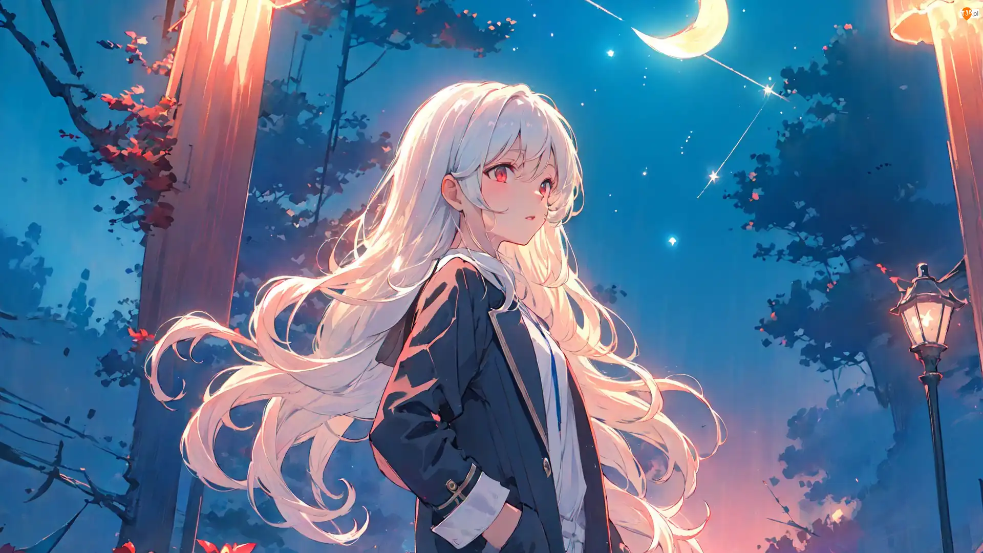 Płaszcz, Anime, Blondynka, Dziewczyna, Księżyc
