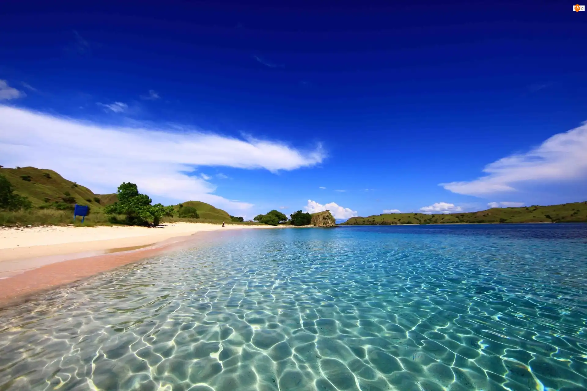 Komodo, Wyspa, Plaża, Drzewa, Morze, Wzgórza