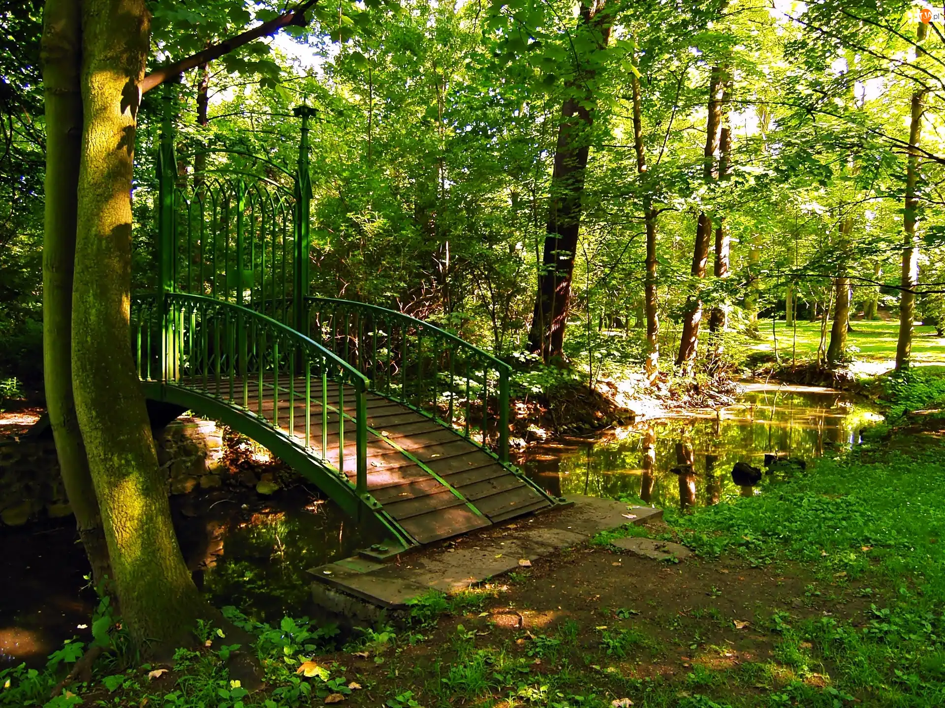 Mostek, Światło, Rzeczka, Park, Przebijające