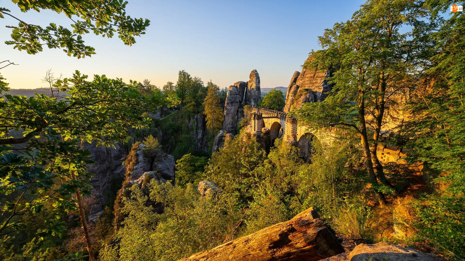 Skały, Góry Połabskie, Formacja skalna, Most, Park Narodowy Saskiej Szwajcarii, Bastei, Drzewa, Niemcy