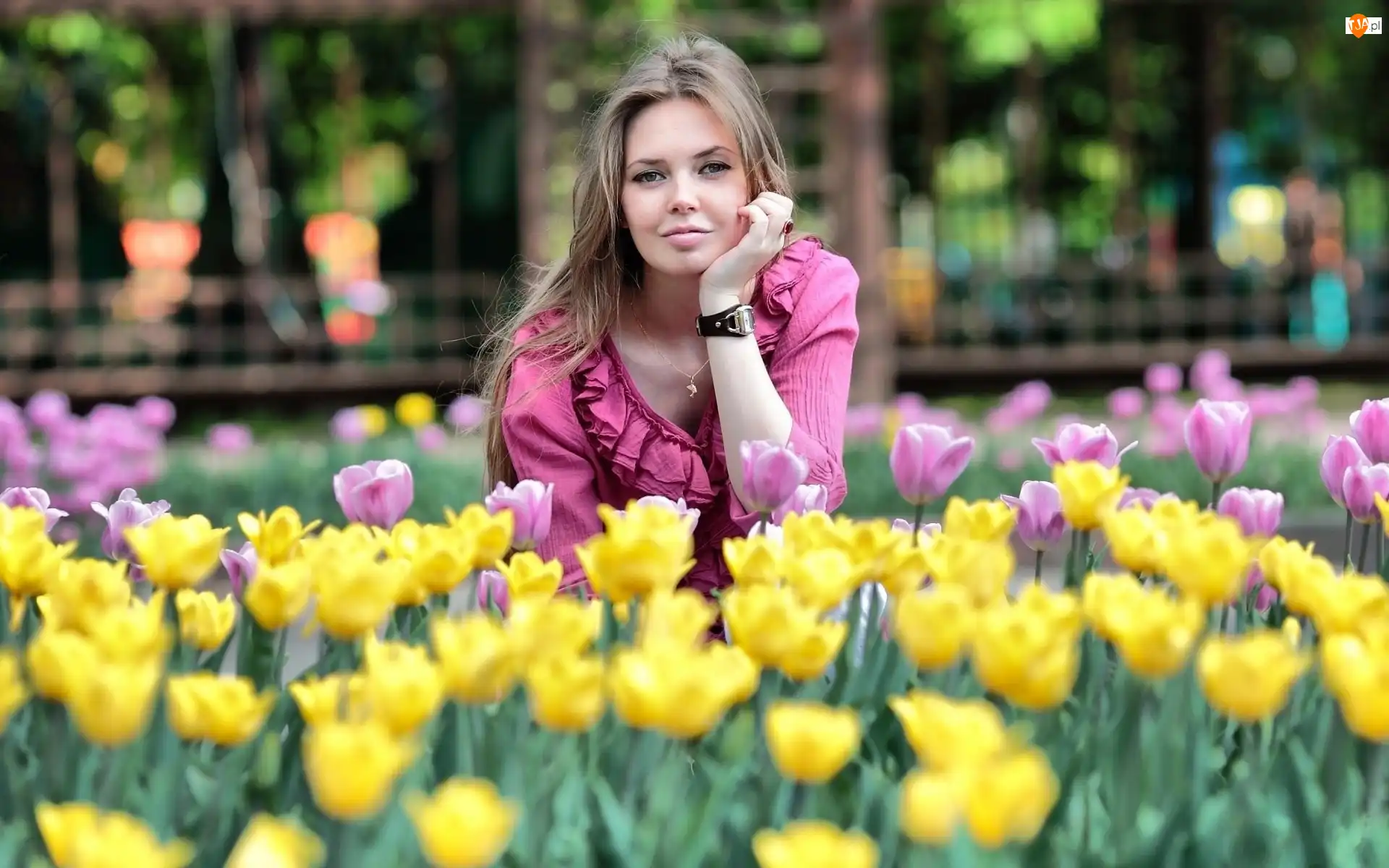Tulipany, Młoda, Kobieta
