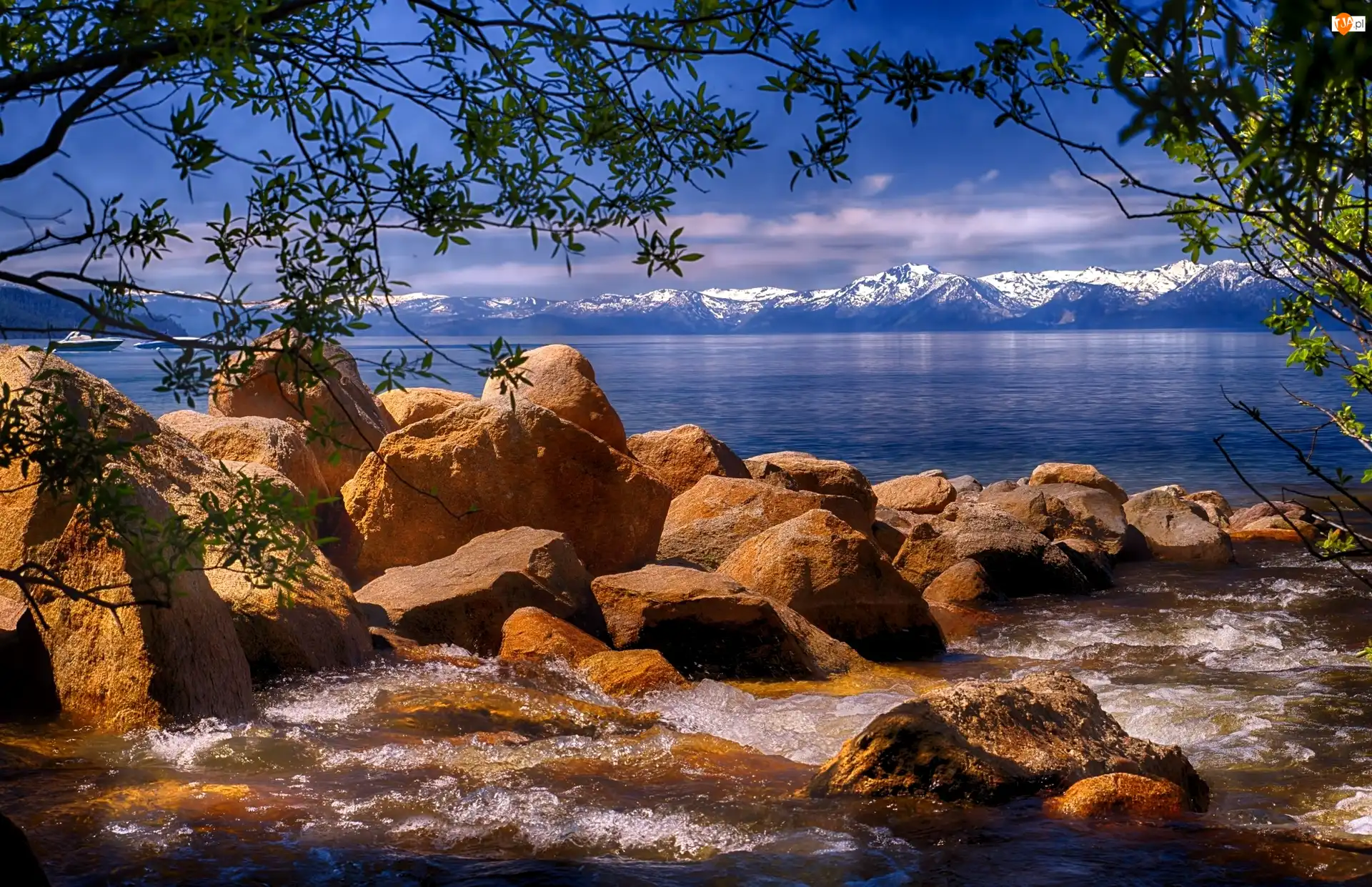 Drzewo, Jezioro, Góry Sierra Nevada, Nevada, Lake Tahoe, Gałęzie, Stany Zjednoczone, Kamienie
