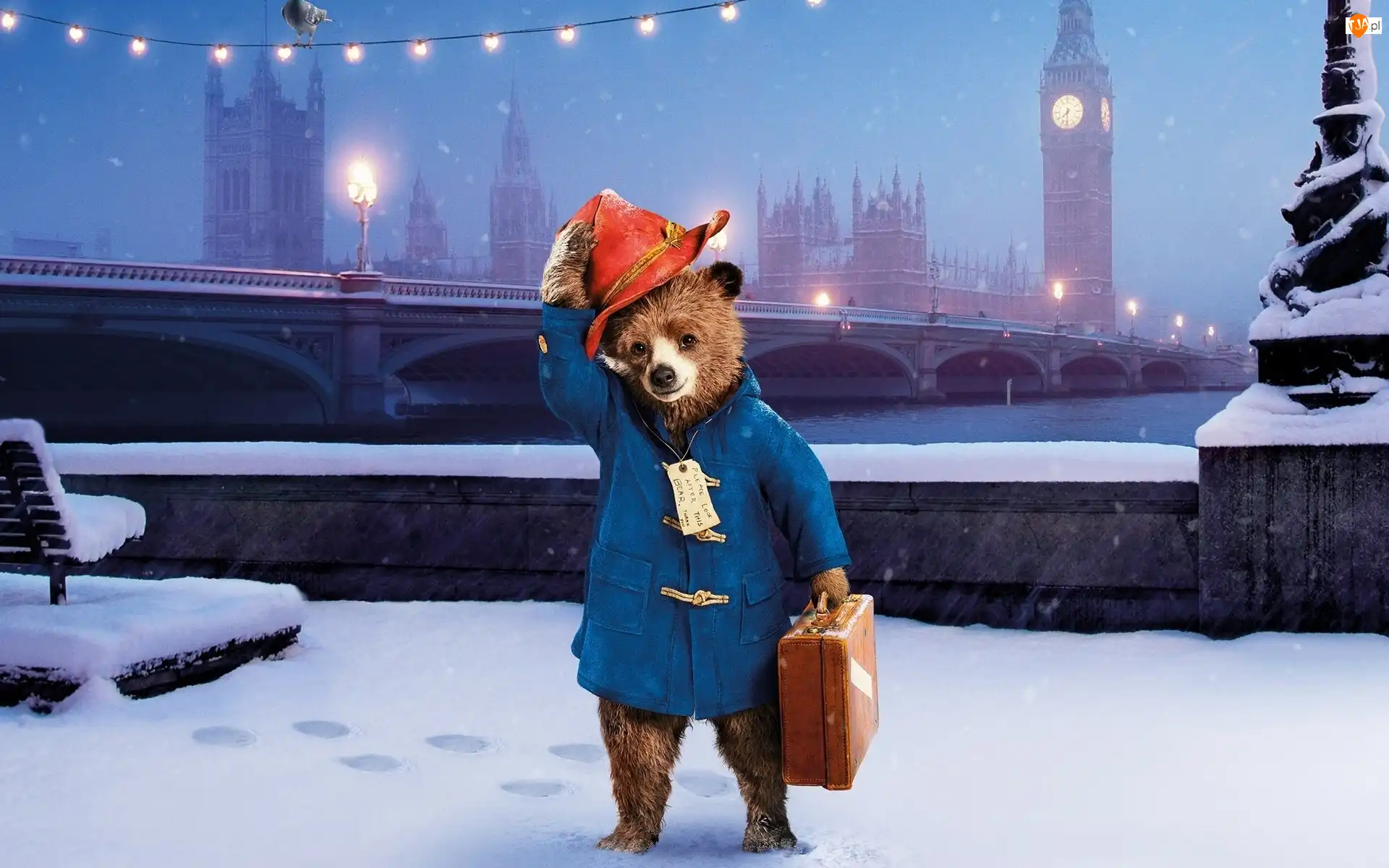 Paddington, Miś, Zima, Walizka, Śnieg, Kapelusz