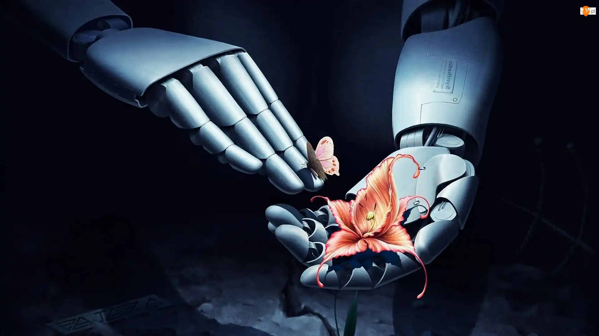 Grafika 3D, Robot, Kwiat, Motyl
