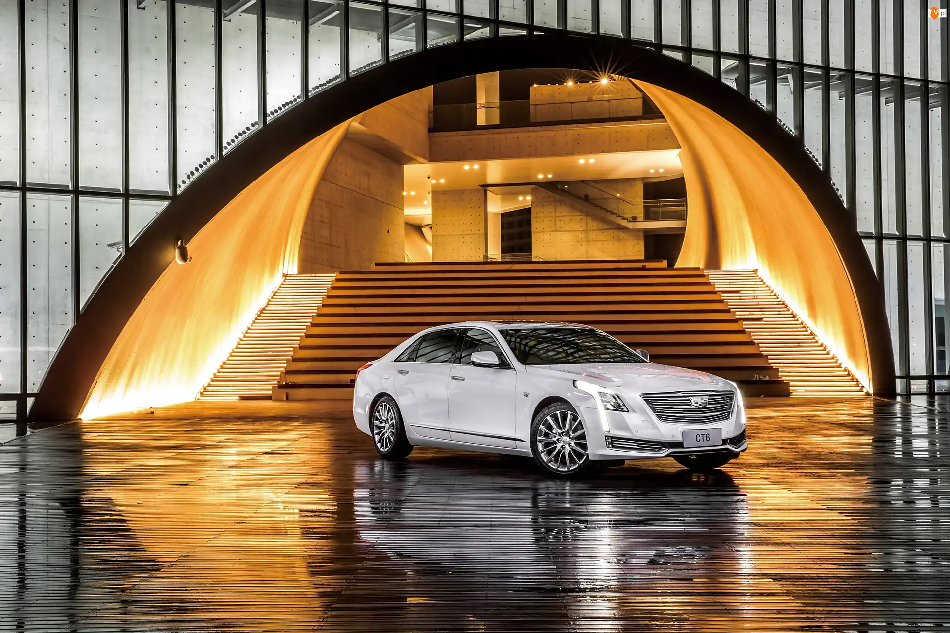 Schody, Cadillac CT6 Sedan, 2016, Wejście
