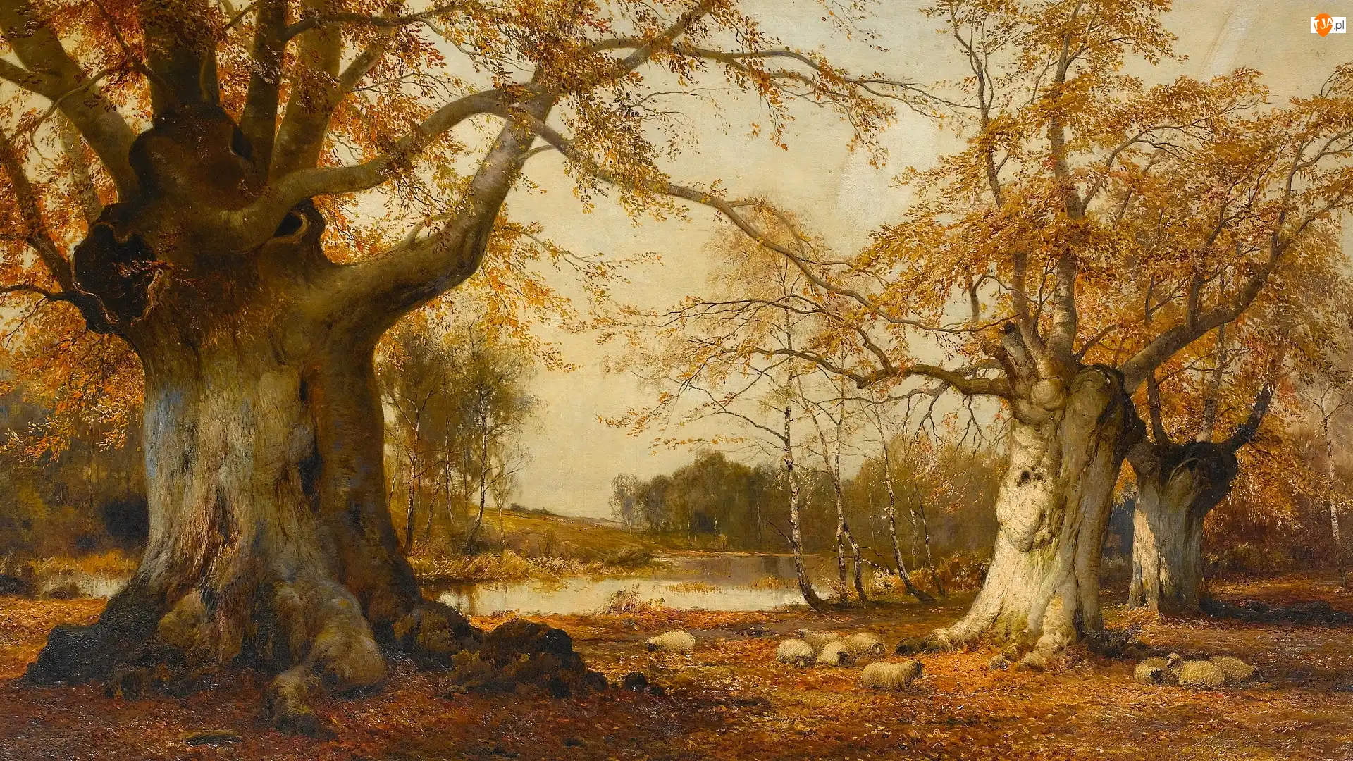 Buki, Malarstwo, Las, Jezioro, Obraz, Drzewa, Owce, Alfred de Breanski