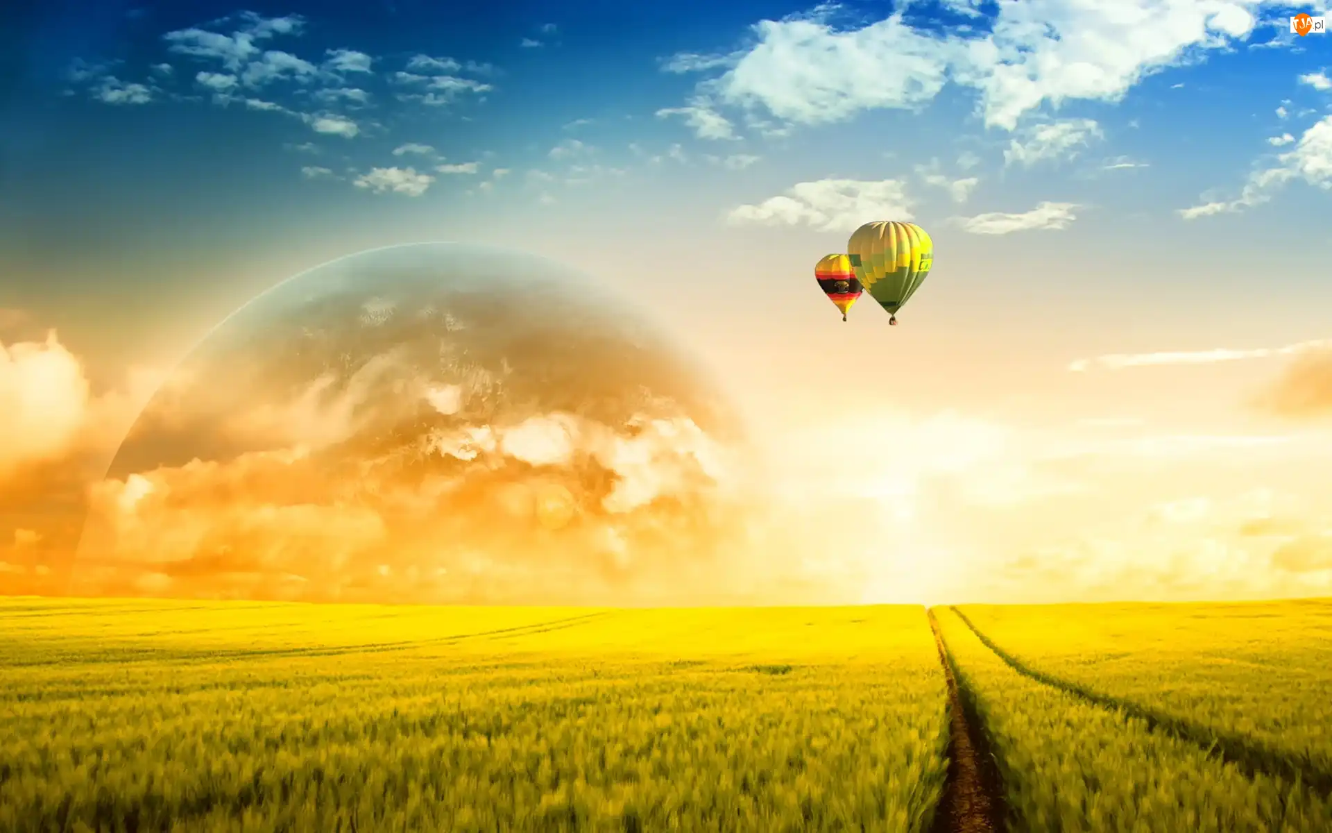 Balony, Zachód, Słońca, Pola