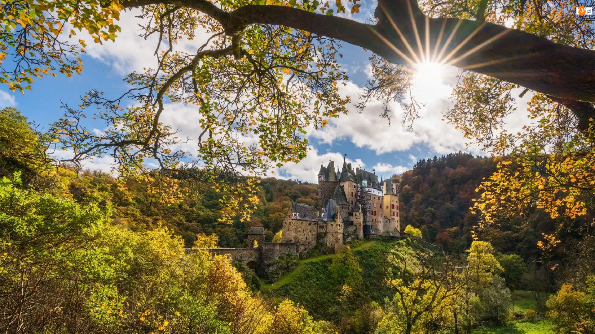 Promienie słońca, Nadrenia-Palatynat, Drzewa, Jesień, Las, Gmina Wierschem, Góry Eifel, Niemcy, Zamek Eltz Kotlina