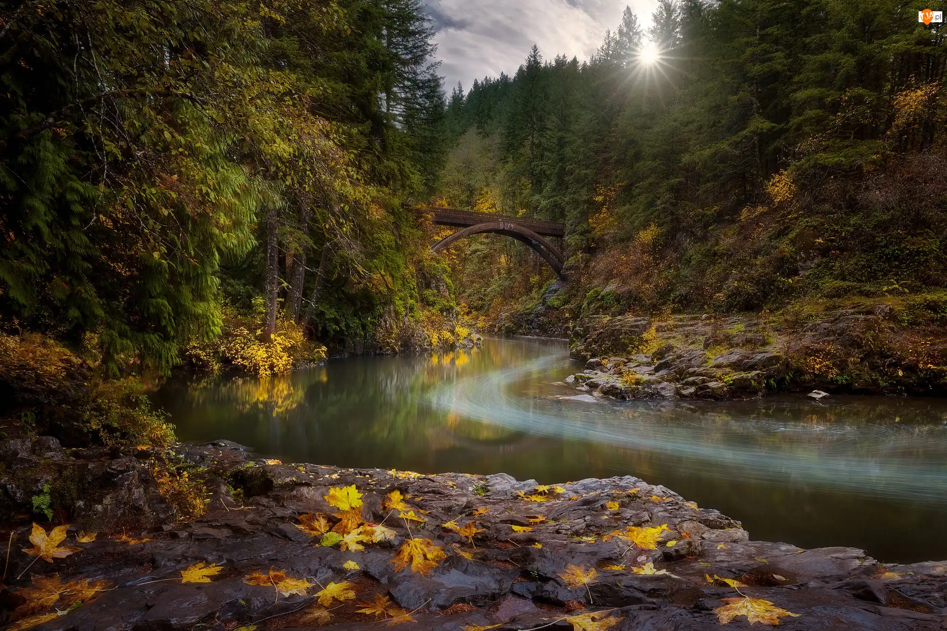 Skały, Las, Rzeka Lewis River, Stan Waszyngton, Jesienne, Most Moulton Falls Bridge, Stany Zjednoczone, Drzewa