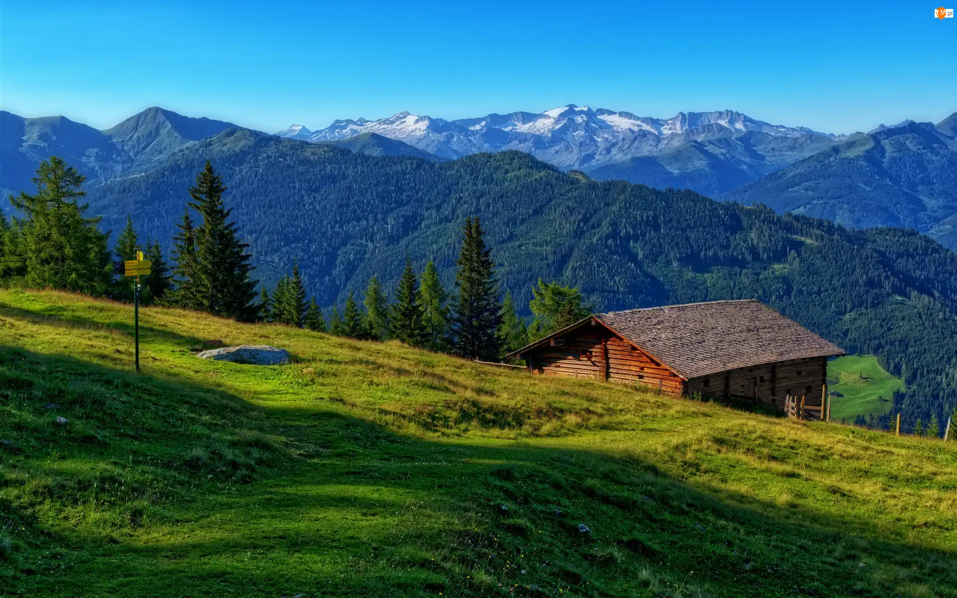 Łąka, Góry, Lasy, Dom