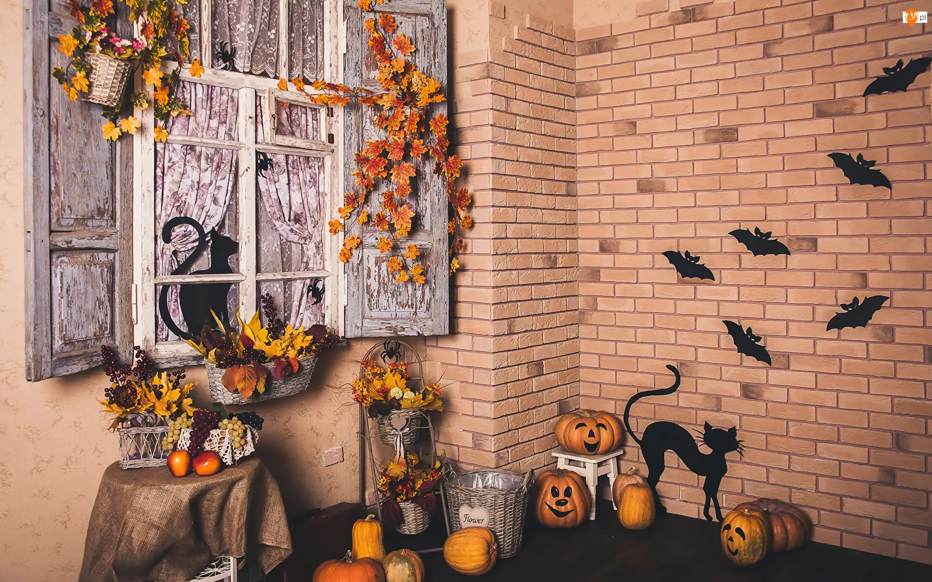 Nietoperze, Dom, Liście, Kwiaty, Koty czarne, Dynie, Koszyki, Halloween, Ozdoby