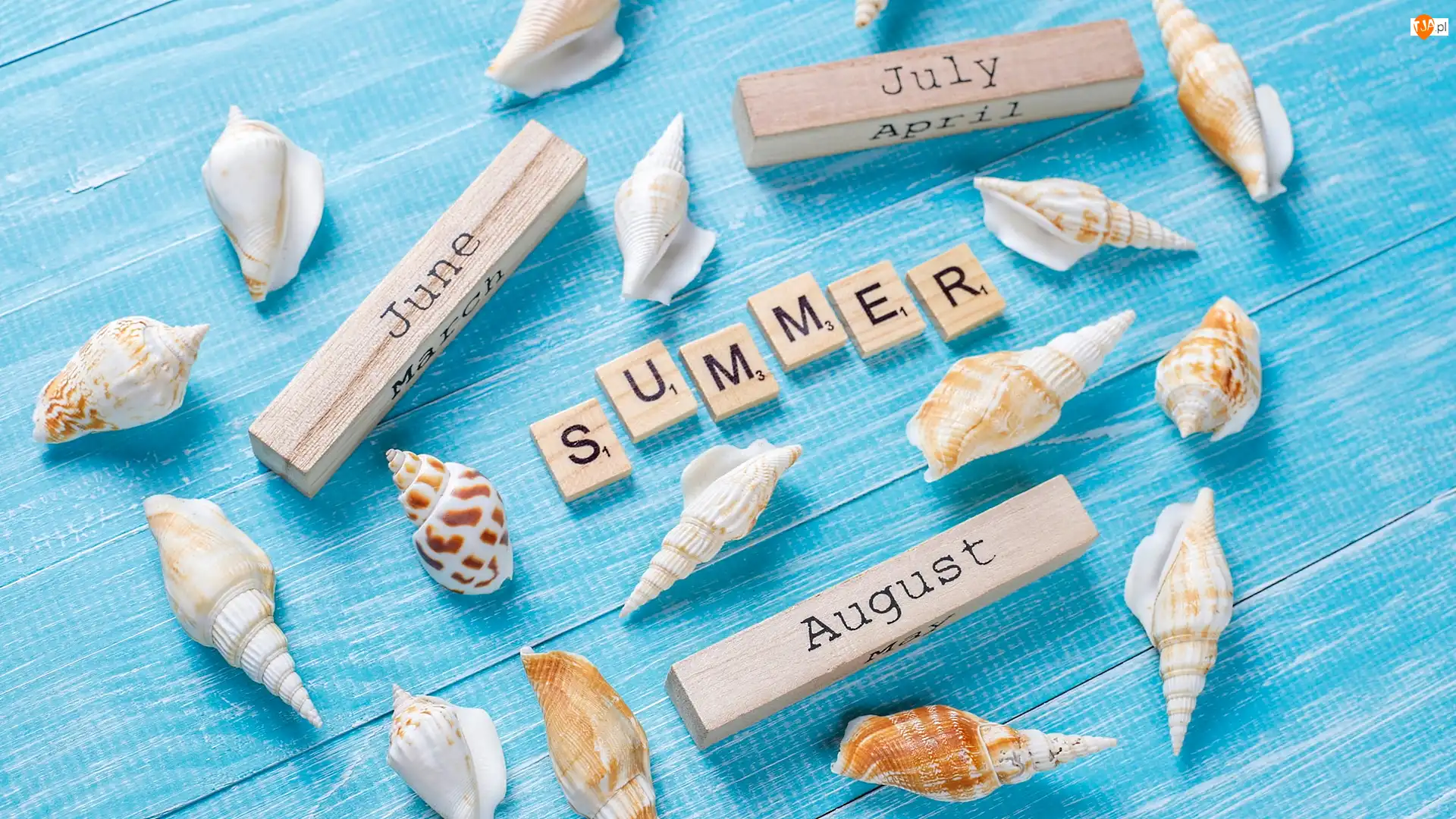 Tło, Klocki, Niebieskie, June, July, Napis, August, Muszelki, Summer