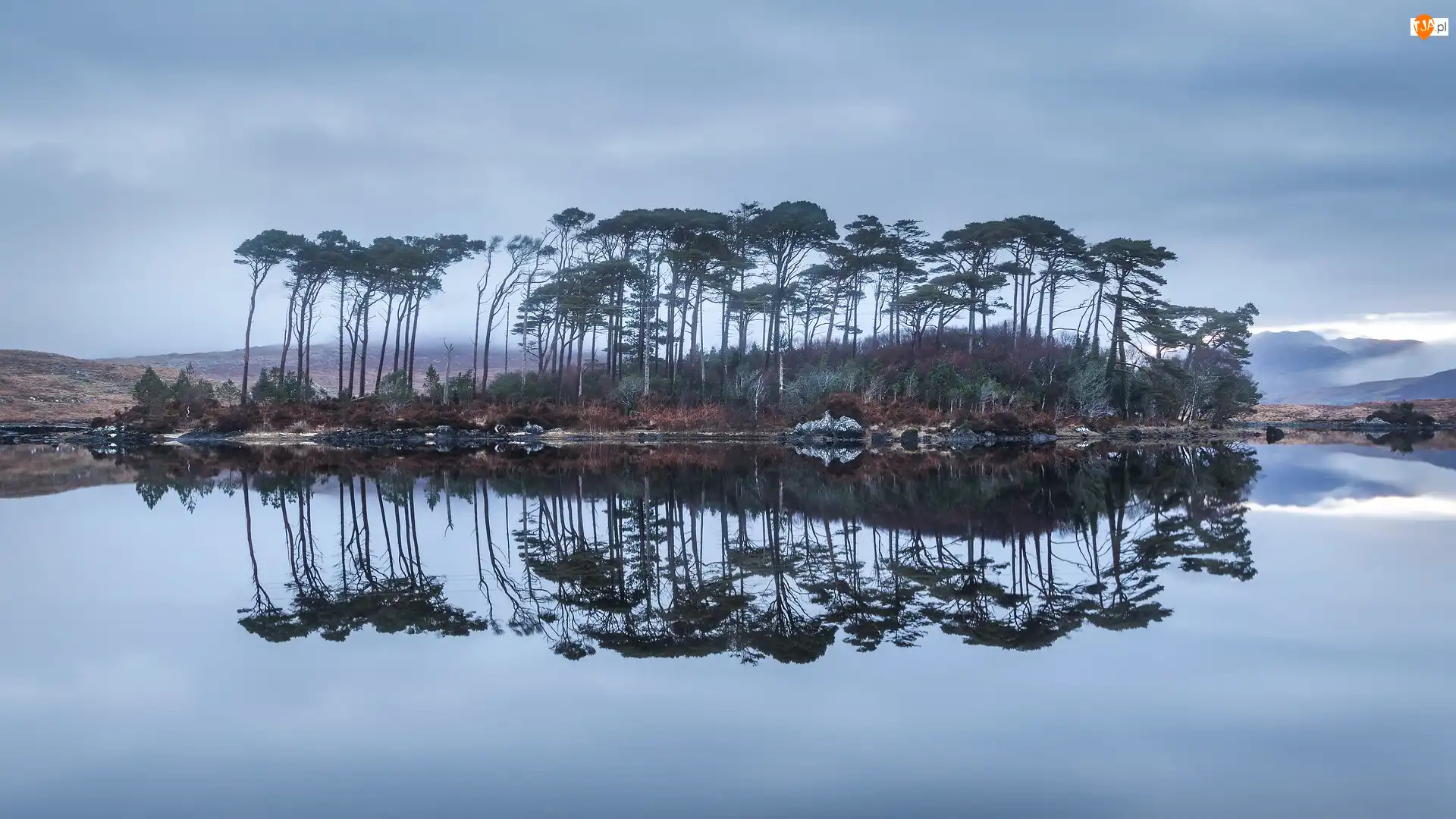 Galway, Wyspa, Odbicie, Region Connemara, Drzewa, Jezioro Derryclare Lough, Irlandia, Sosny