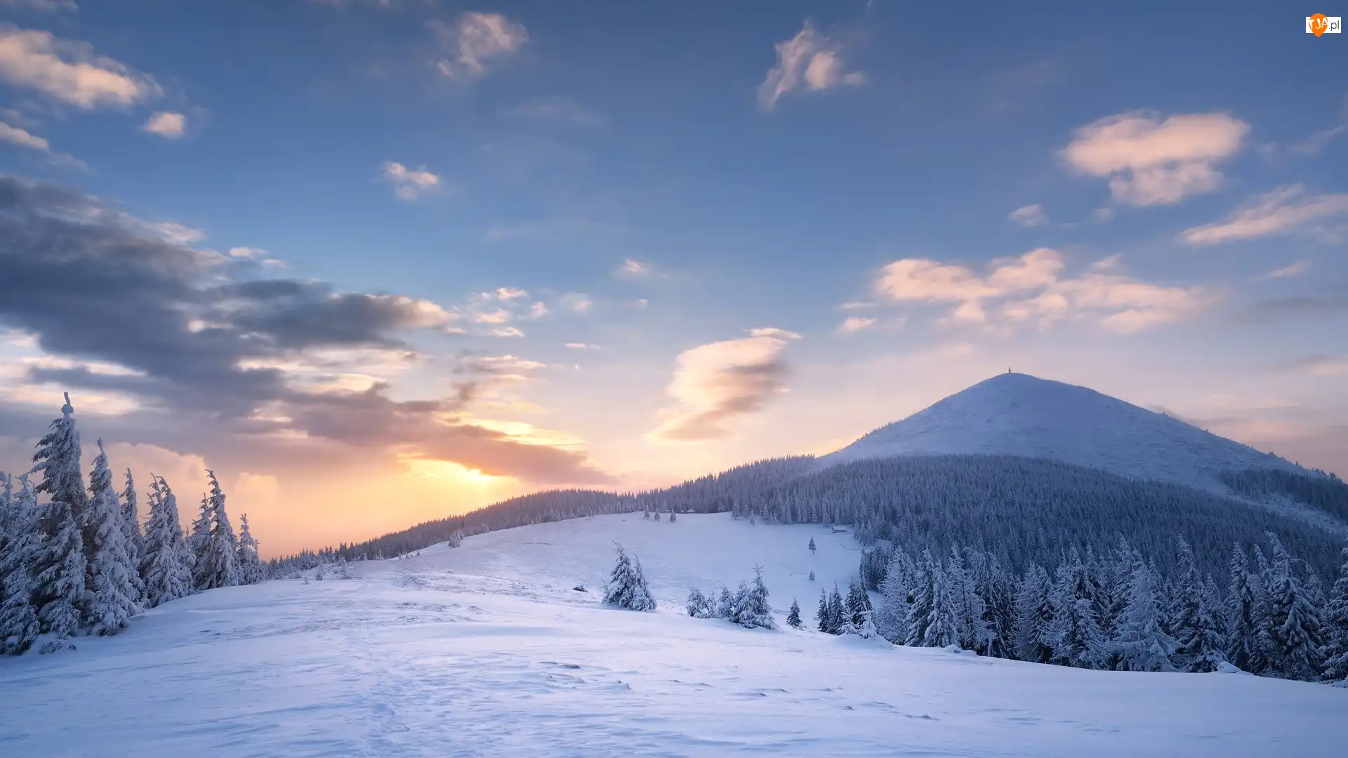 Drzewa, Ukraina, Zima, Wschód słońca, Karpaty, Las, Chmury, Góry Gorany