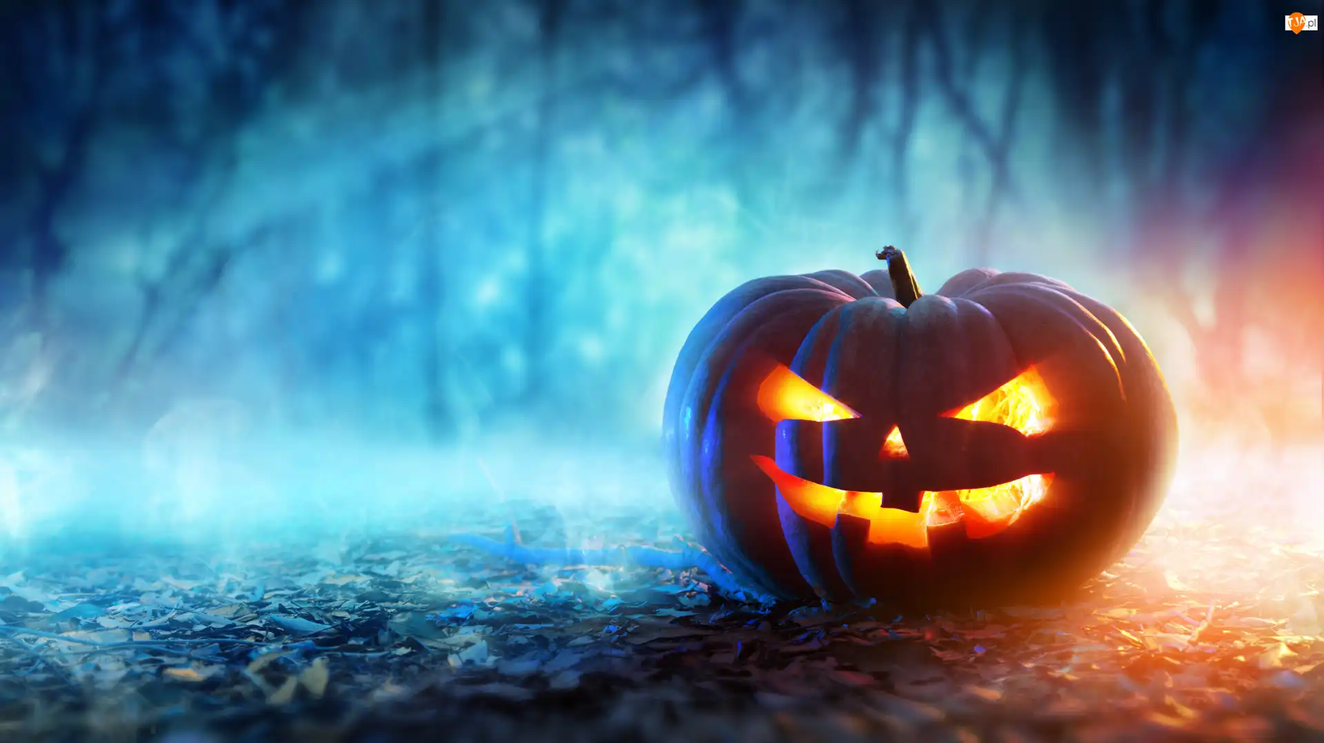 Światło, Halloween, Dynia