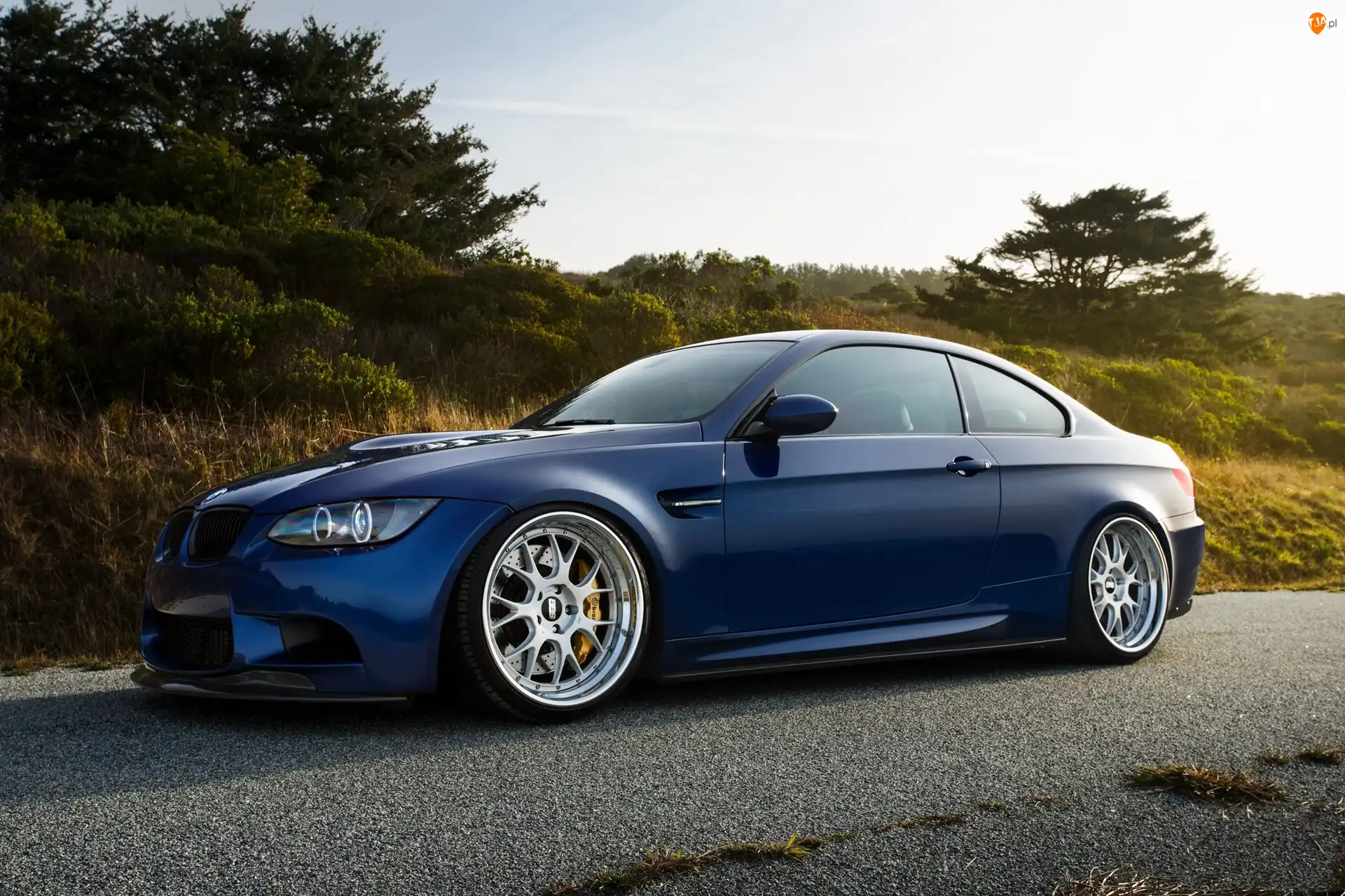 Drzewa, Niebieskie, BMW M5, Droga