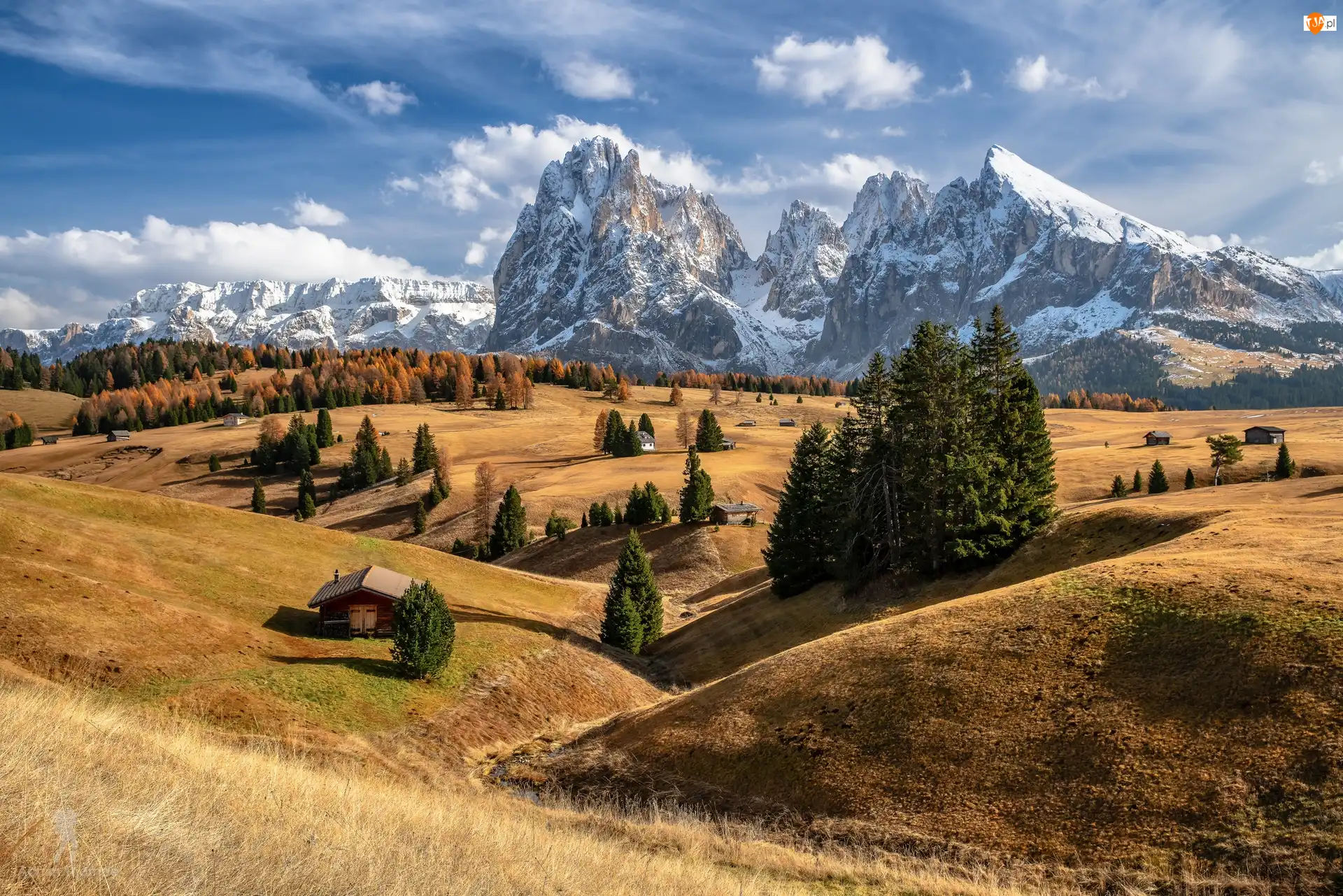 Góry Sassolungo, Dolomity, Włochy, Dolina Val Gardena, Drzewa, Domy, Płaskowyż Seiser Alm