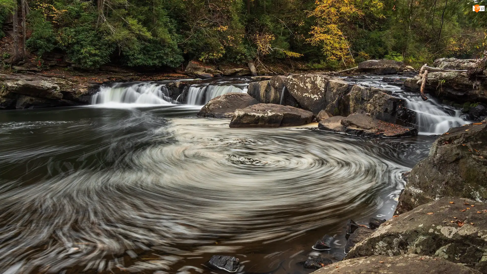 Youghiogheny River, Drzewa, Uskok, Maryland, Wir, Rzeka, Stany Zjednoczone, Skały