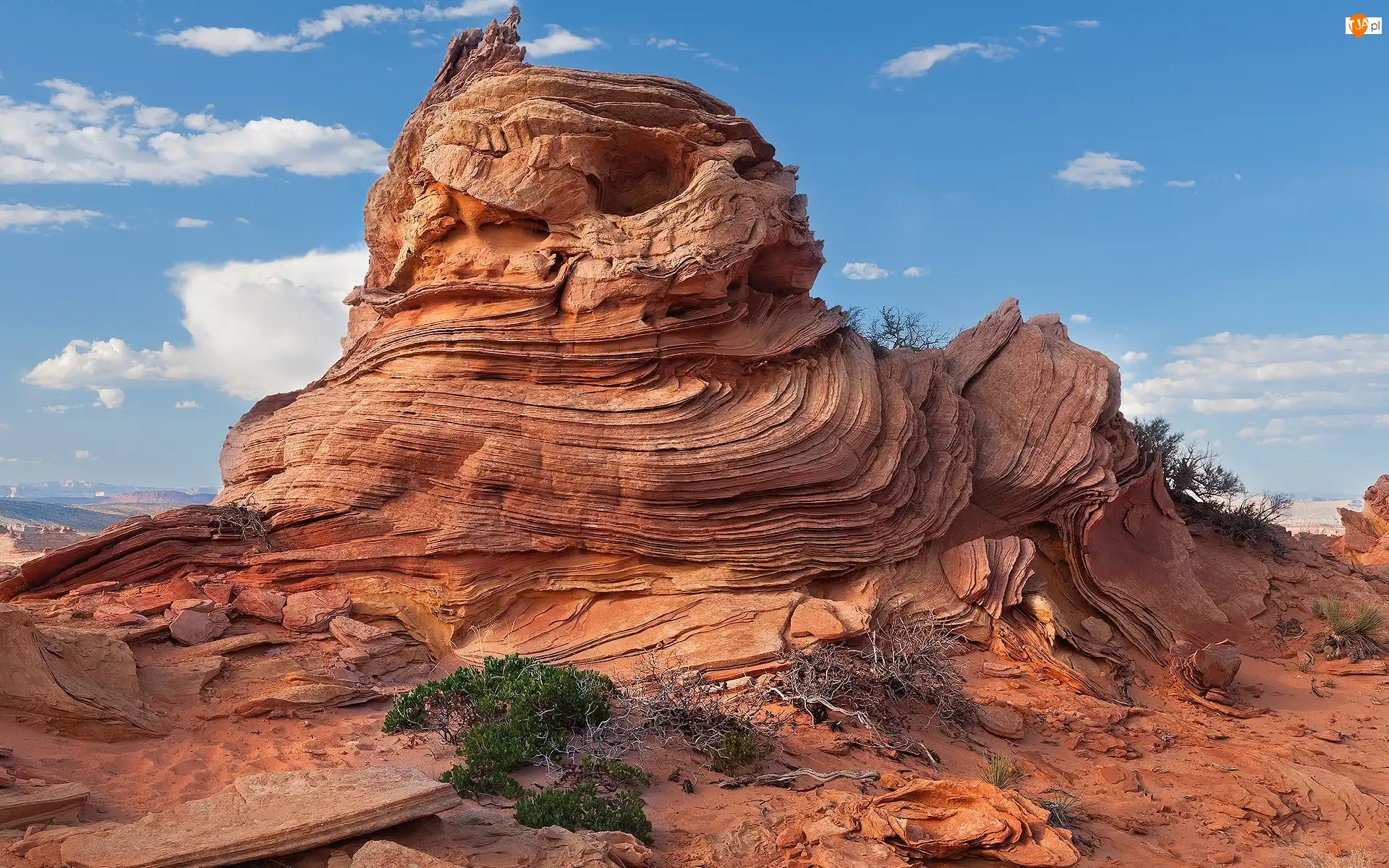 Paria Canyon-Vermilion Cliffs Wilderness, Góra, Coyote Buttes, Arizona, Skała, Rezerwat, Stany Zjednoczone, Formacja skalna