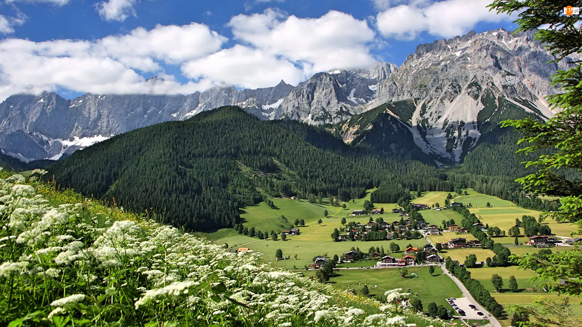 Gmina Ramsau am Dachstein, Austria, Domy, Roślinność, Góry Alpy Salzburskie, Dolina
