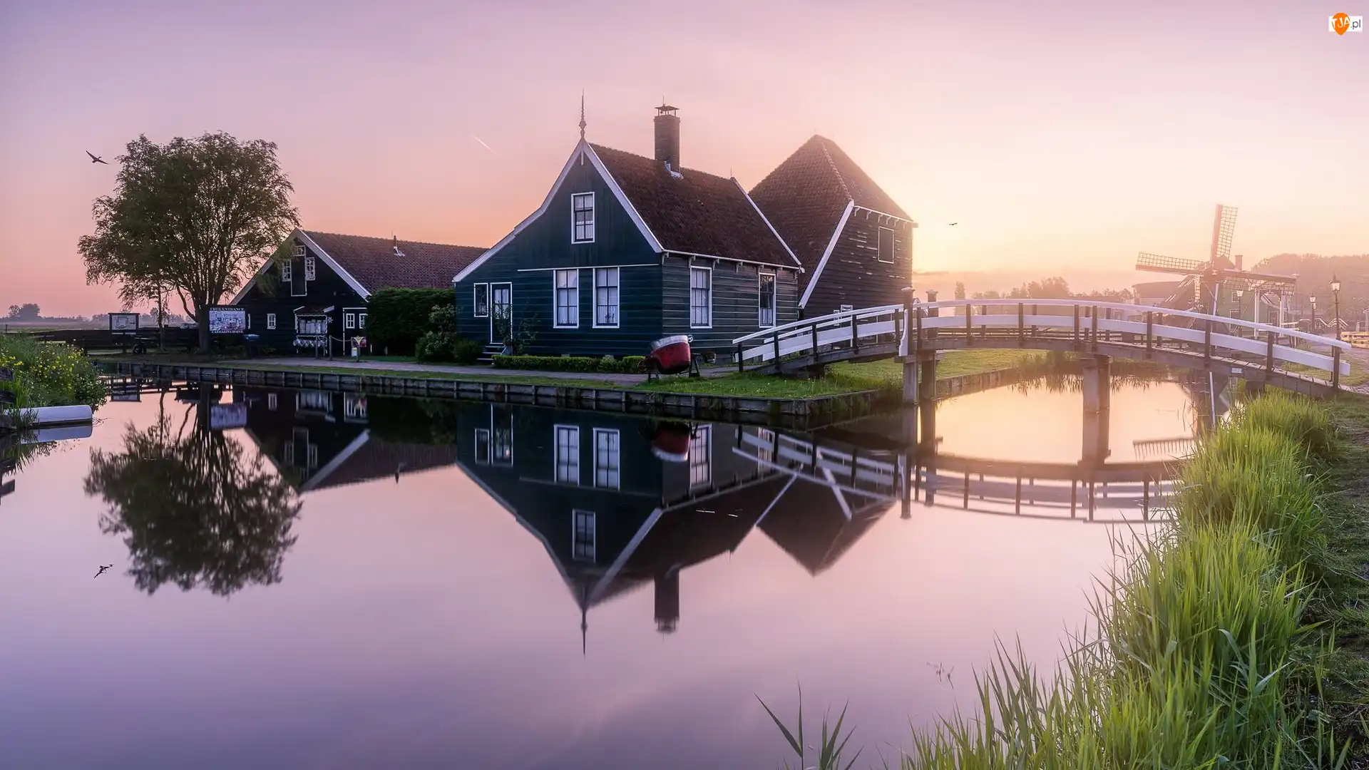 Drzewa, Holandia, Most, Skansen Zaanse Schans, Wschód słońca, Kanał, Zaandam, Domy