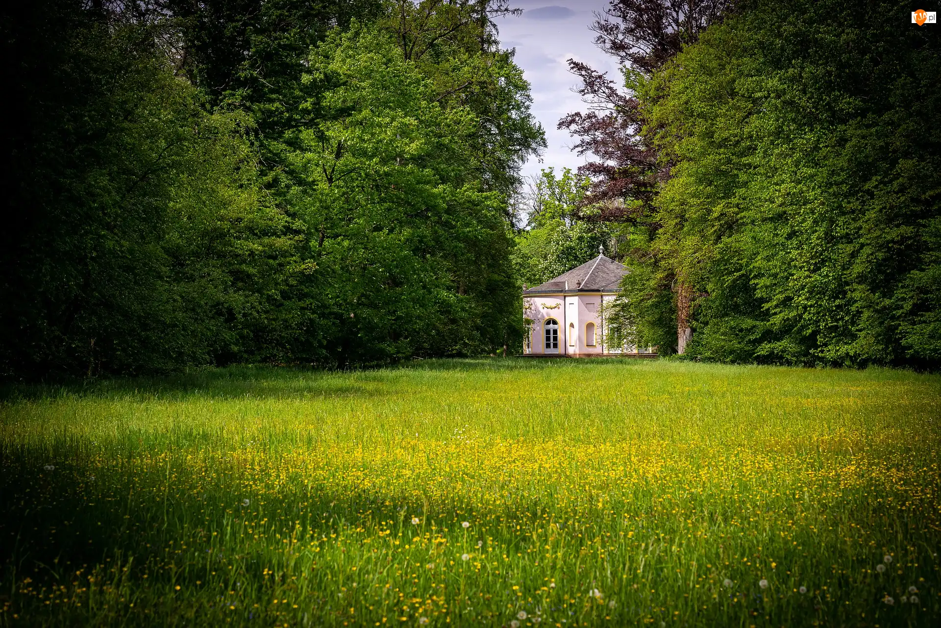 Łąka, Park, Pawilon, Zieleń, Drzewa, Domek