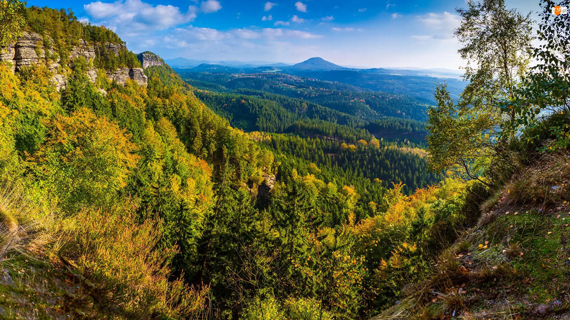 Drzewa, Lasy, Jesień, Skała, Wzgórza, Góry