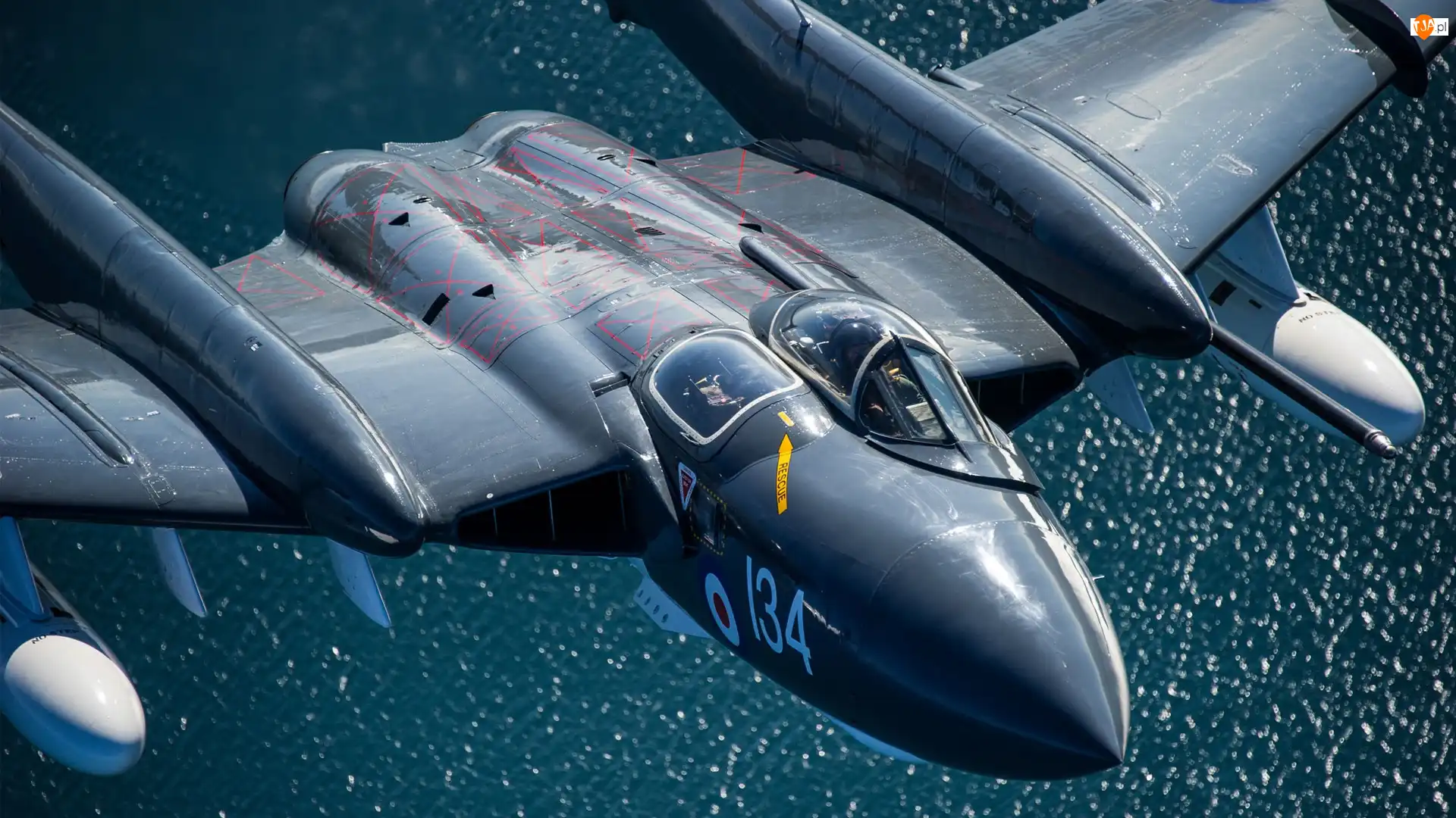 De Havilland Sea Vixen FAW2, Samolot, Myśliwiec